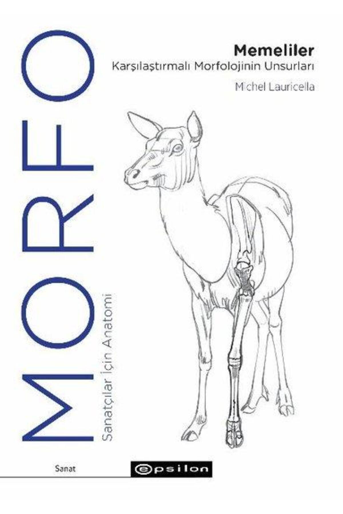 Epsilon Yayınevi Morfo Memeliler Karşılaştırmalı Morfolojinin Unsurları