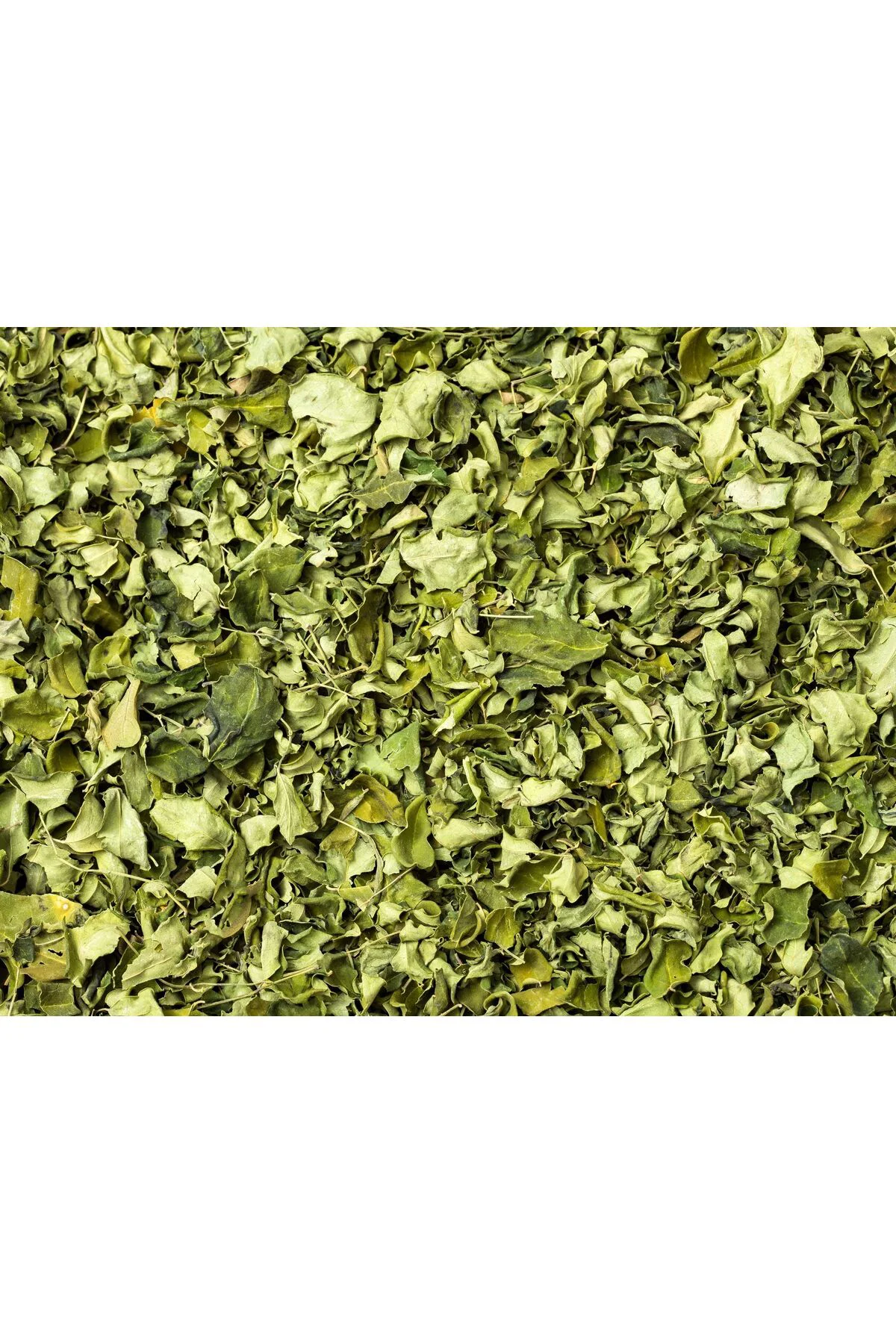 Moringa Yaprağı Çayı - 50 gr Fiyatı, Yorumları ve Özellikleri