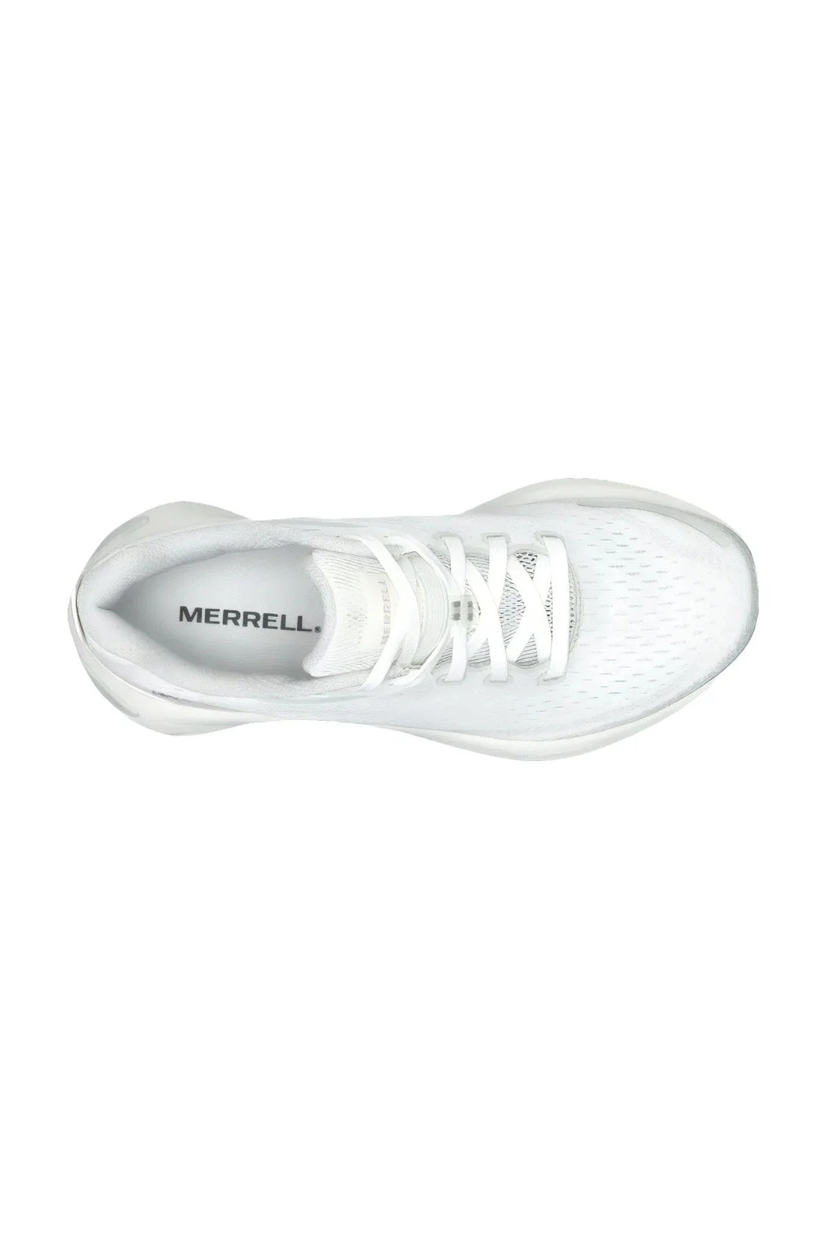 Morphlite J068134