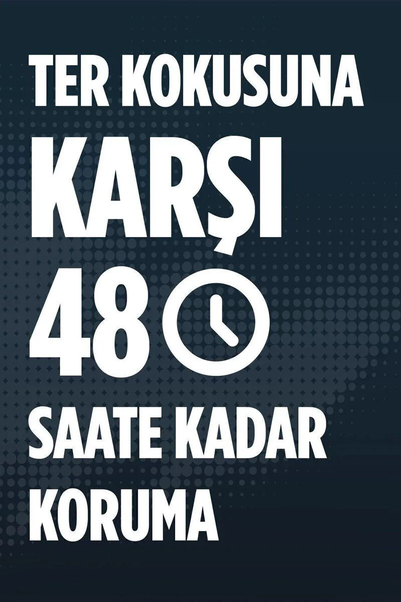 Mountain Fresh Erkek Deodorant 3'lü Set - 48 Saat Koku Koruma, Leke Bırakmaz Fiyatı, Yorumları ve Özellikleri