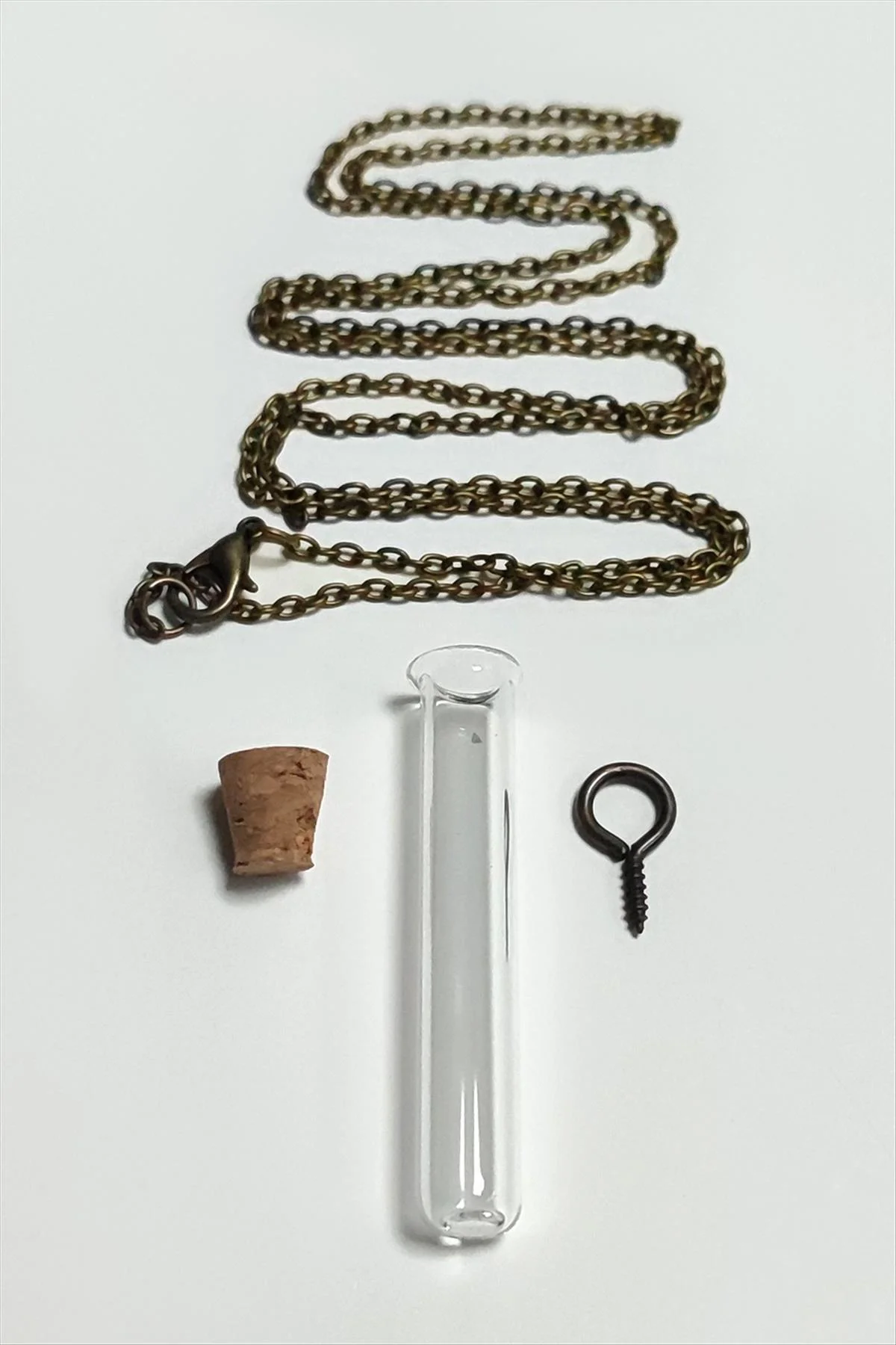 MTXDPN Boş Fanus (150056) Canlı Kolye-Şeffaf