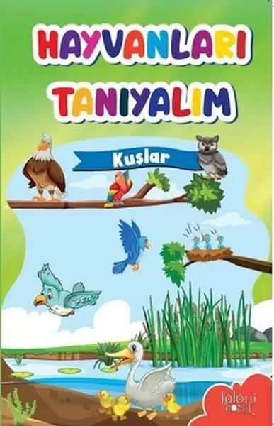 Muhteşem Çizimler ve Kolay Anlatım ile Hayvanları Tanıyalım Kuşlar Fiyatı, Yorumları ve Özellikleri