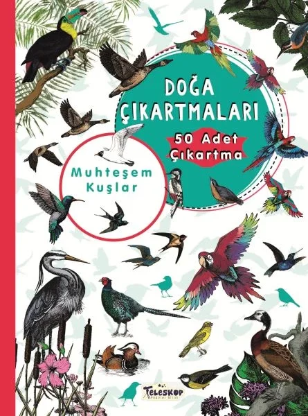 Muhteşem Kuşlar - Doğa Çıkartmaları Fiyatı, Yorumları ve Özellikleri
