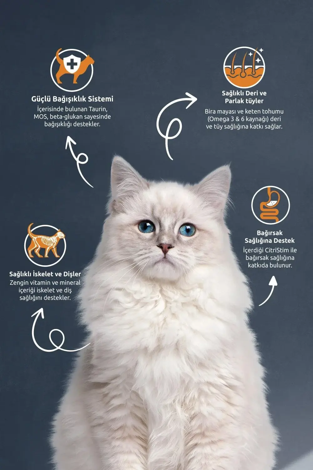 Reflex Multi Colour Kedi Maması 2 Kg