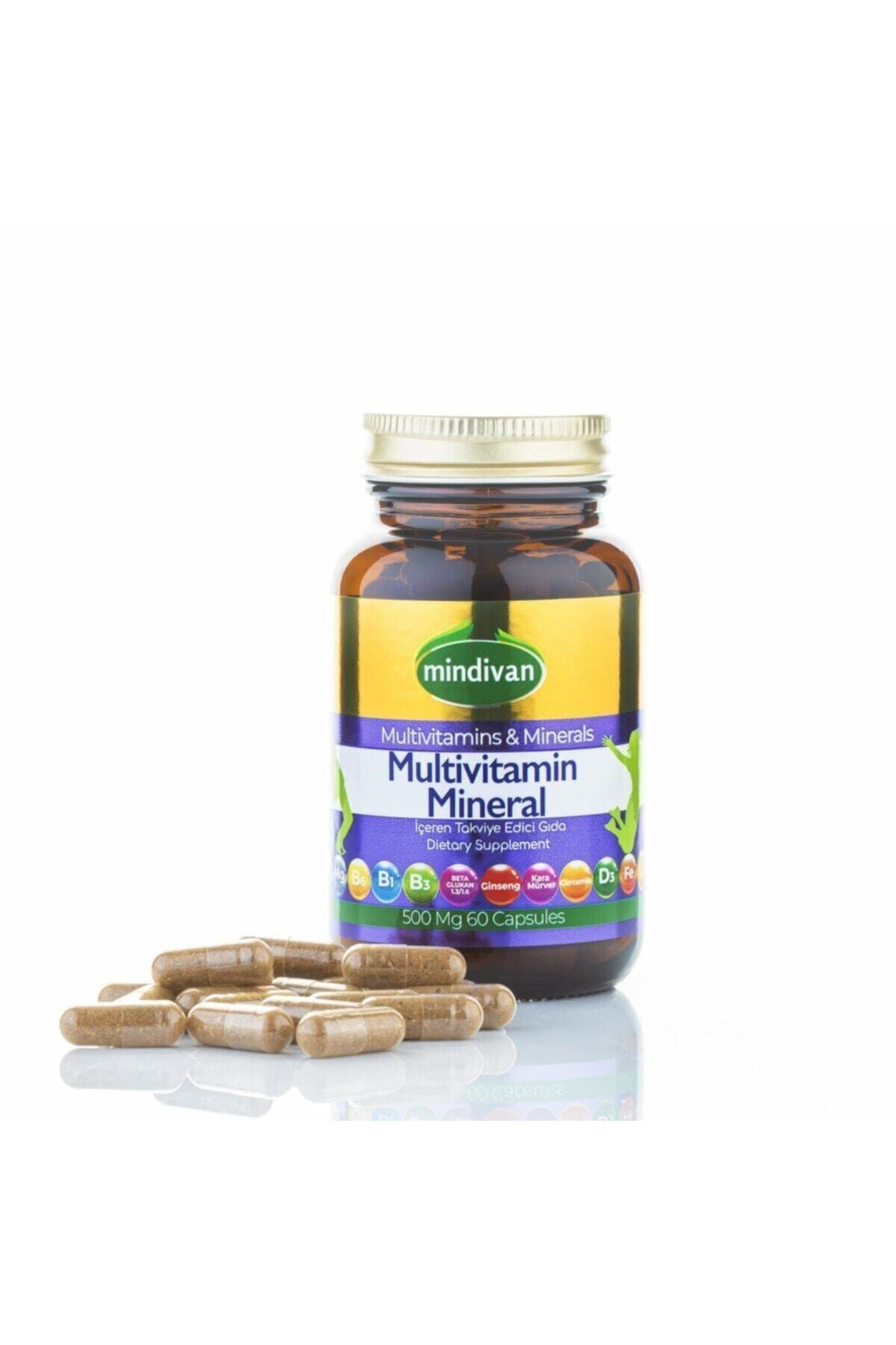 Mindivan Multivitamin Mineral Ve Bitki Ektreleri 60 Kapsül 500Mg 2 Adet