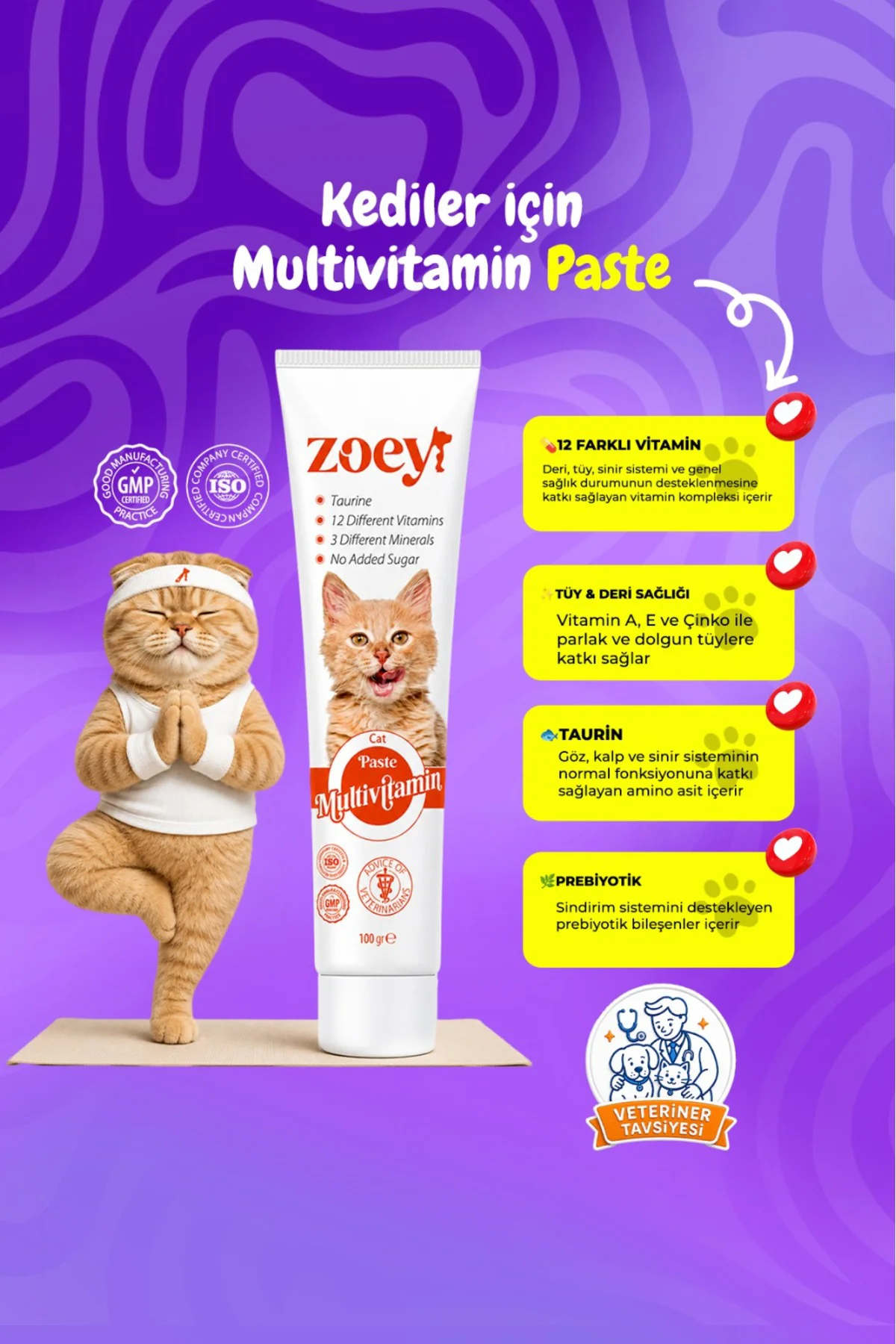 Multivitamin Paste Kediler Için Malt 100 gr Multivitamin Paste Kediler Için Malt 100 gr