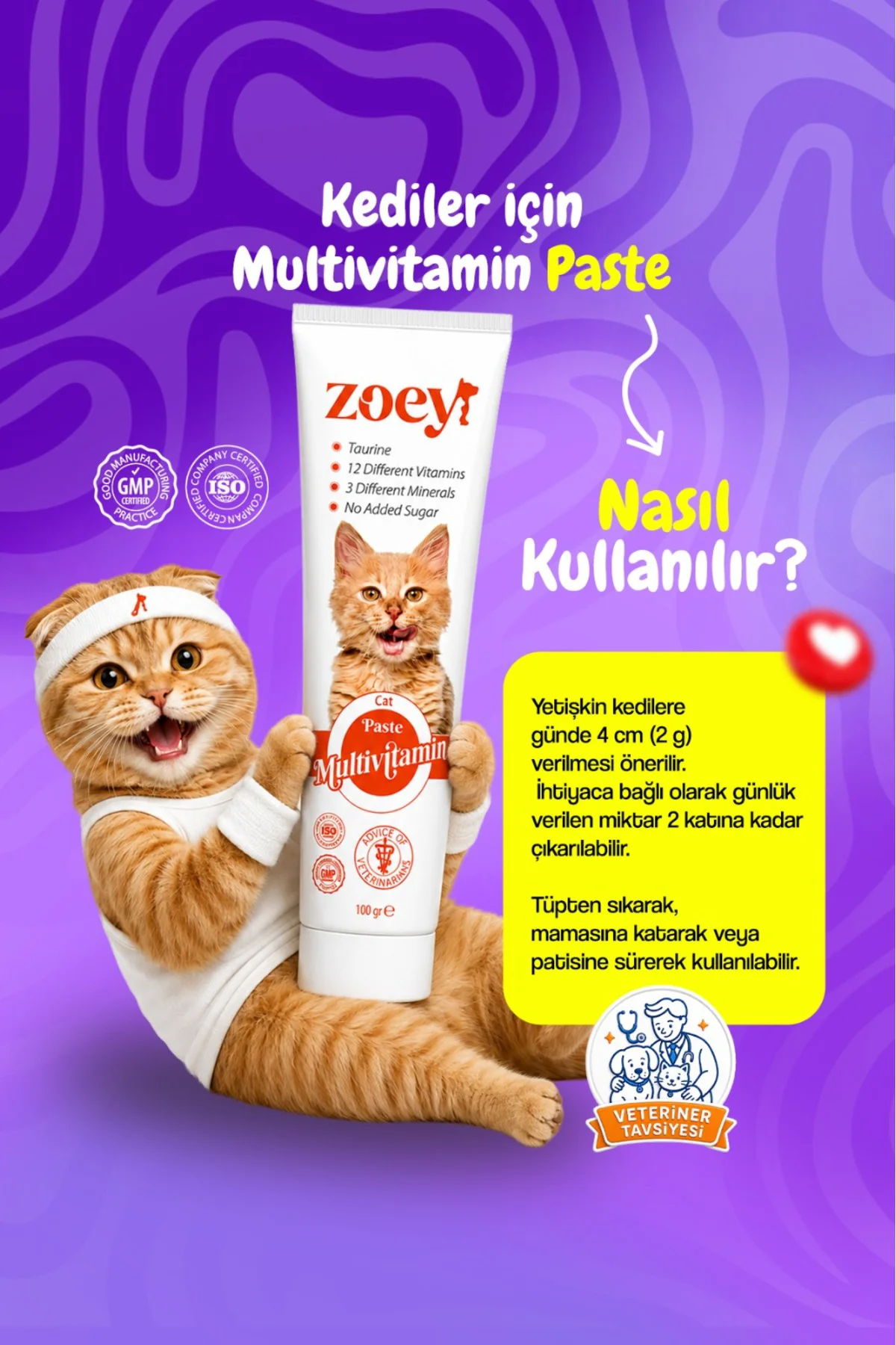 Multivitamin Paste Kediler Için Malt 100 gr Multivitamin Paste Kediler Için Malt 100 gr