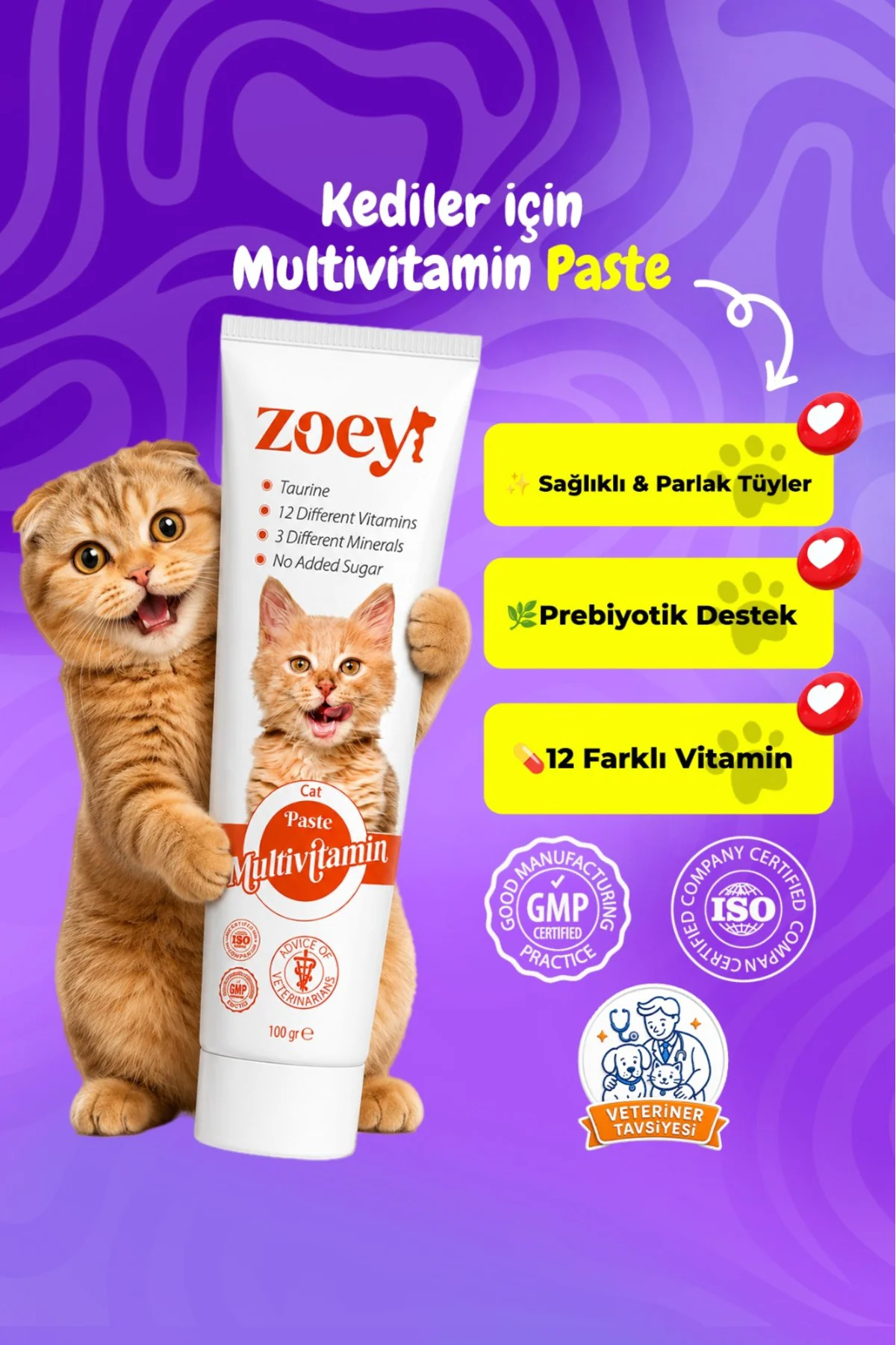 Multivitamin Paste Kediler Için Malt 100 gr Multivitamin Paste Kediler Için Malt 100 gr