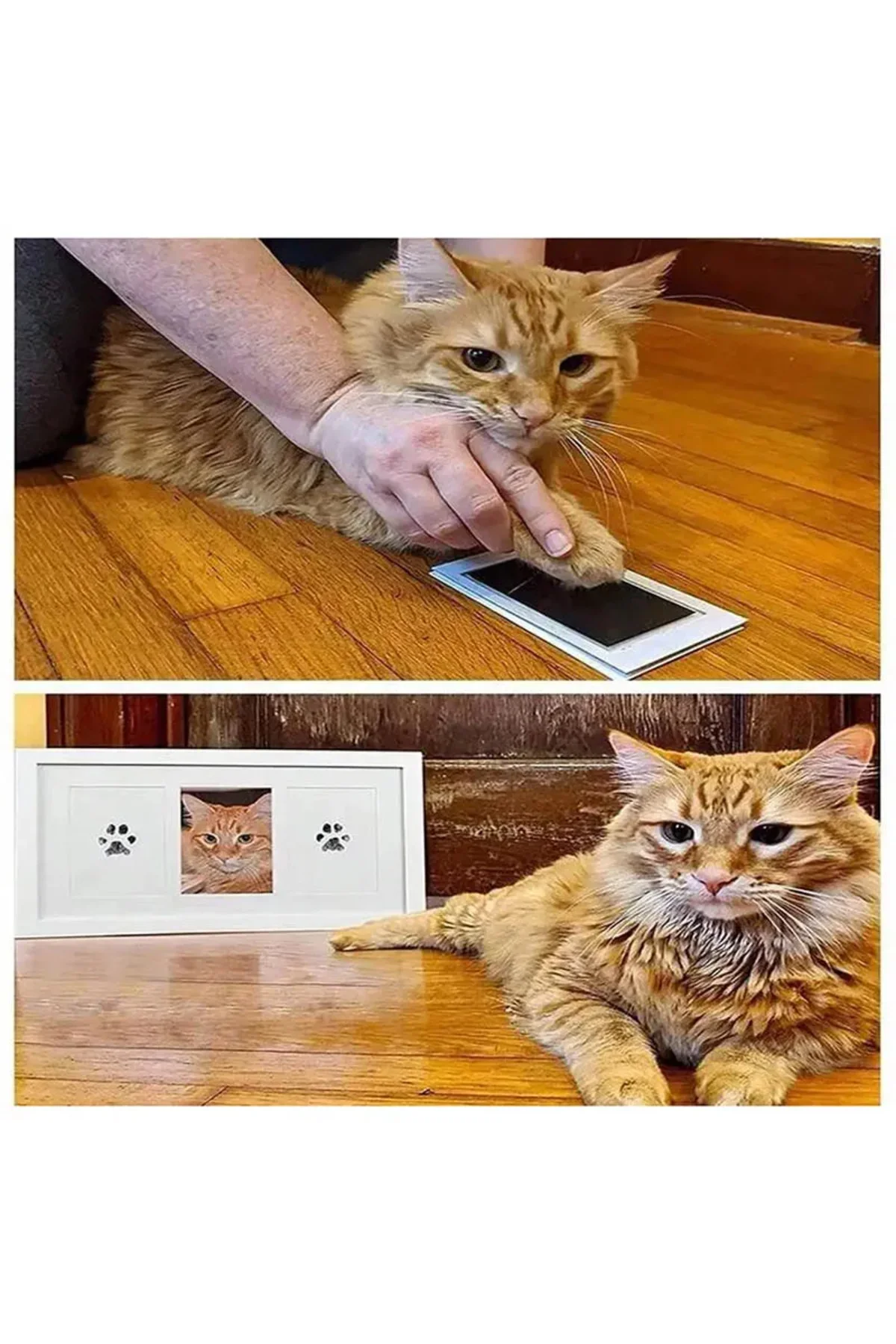 Mürekkepsiz Pati İzi Anı Seti - Kedi Köpek İçin Hatıra Fotoğraf Ç Mürekkepsiz Pati İzi Anı Seti - Kedi Köpek İçin Hatıra Fotoğraf Ç