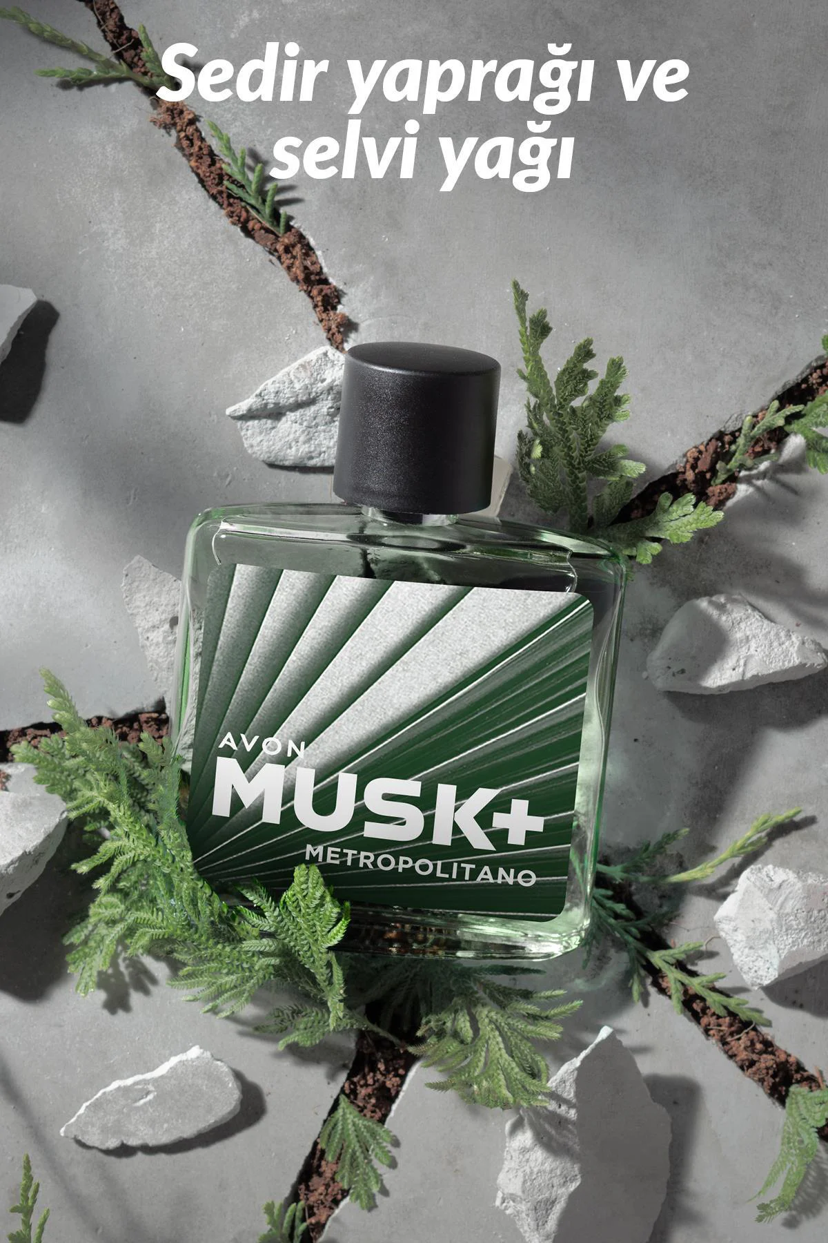 Musk Metropolitano Erkek Parfüm Edt 75 Ml. Musk Metropolitano Erkek Parfüm Edt 75 Ml.
