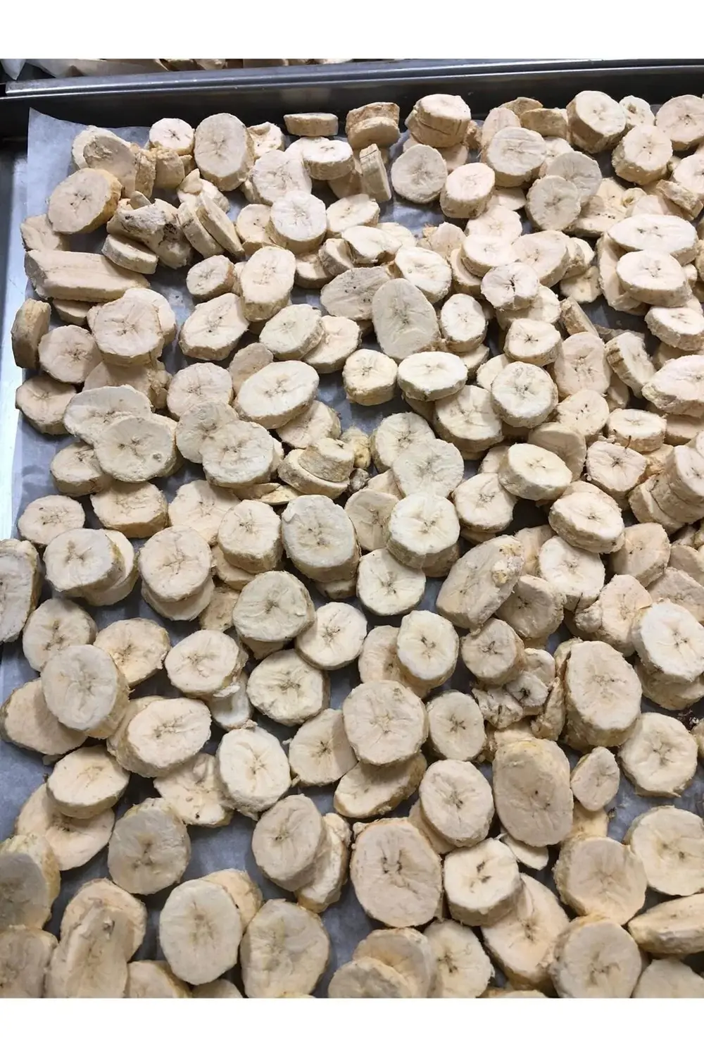 Muz Kıtırı - Freeze Dried - Üretici Firmadan Dondurularak Kurutul