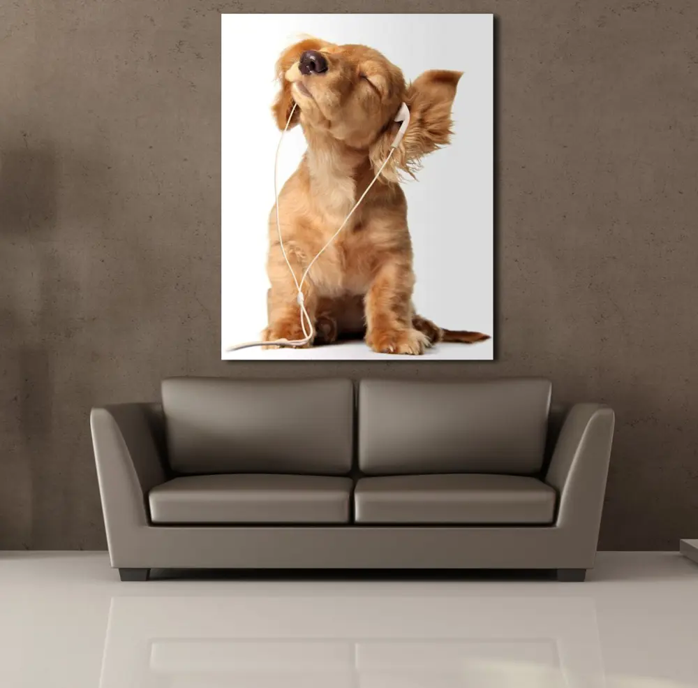 MÜZİK DİNLEYEN KÖPEK KANVAS TABLO