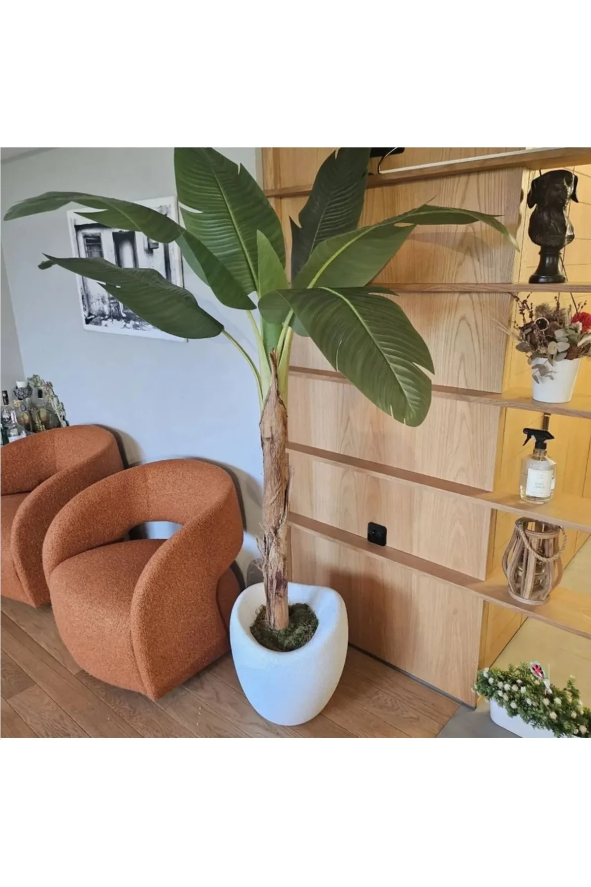 MyDecorZa BOHEM HOME FİBERGLAS BAHÇE ve EV DEKORASYONU SAKSI YUMU