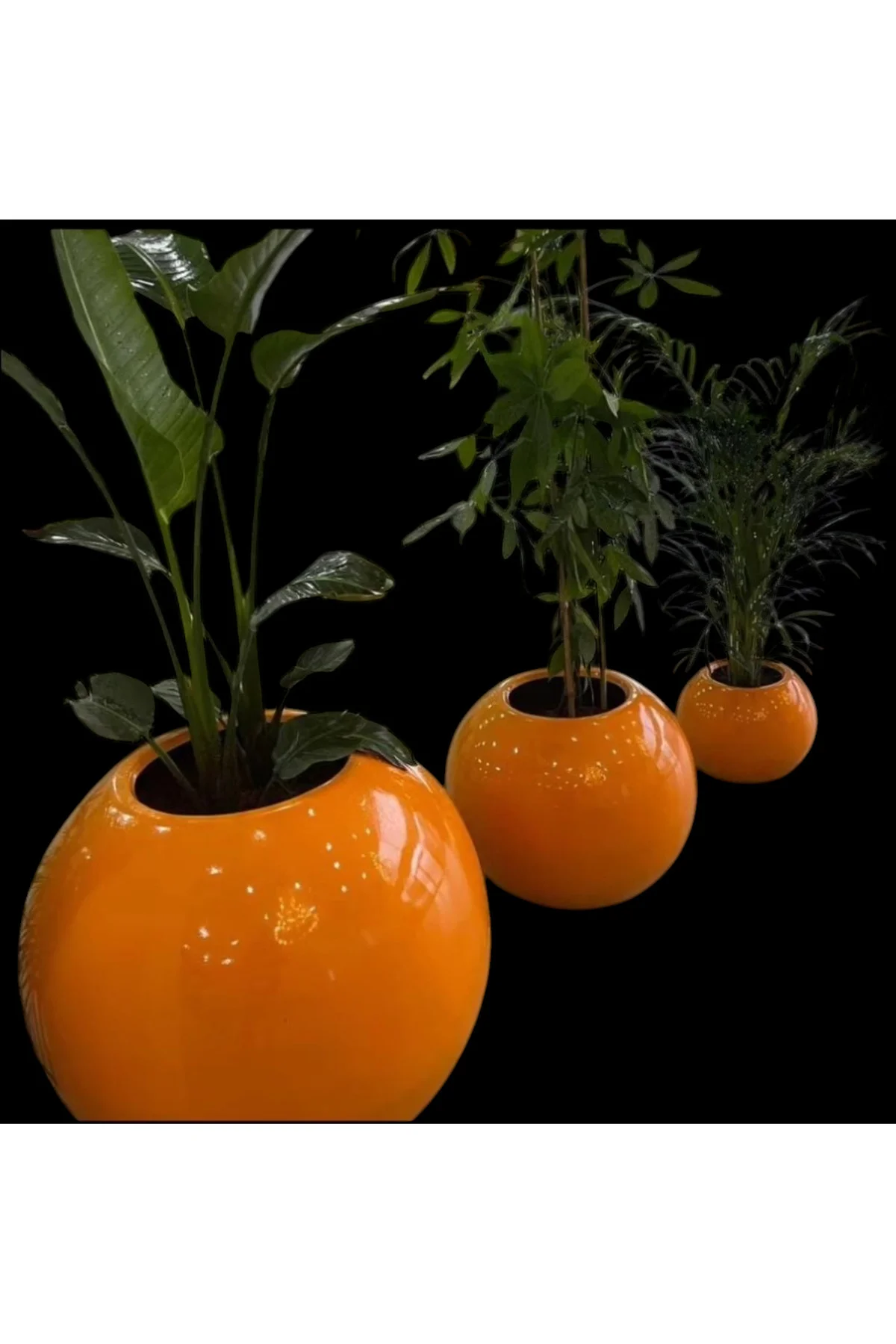 MyDecorZa BOHEM HOME FİBERGLAS BAHÇE ve EV DEKORASYONU SAKSI KÜRE