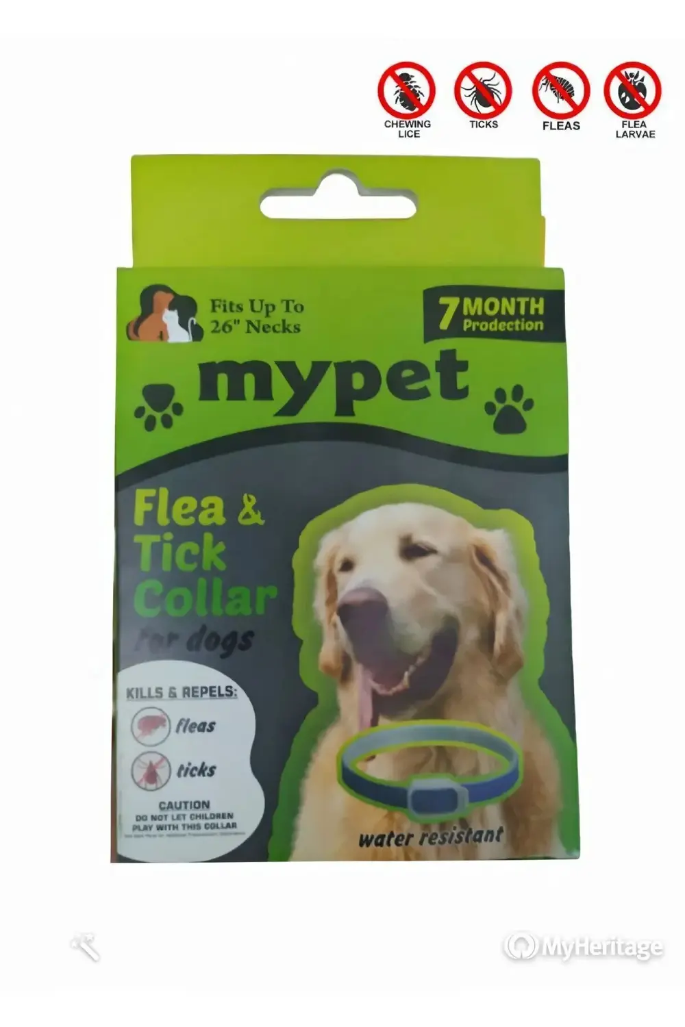 Mypet Köpek Bit Pire Tasması EN10051309680