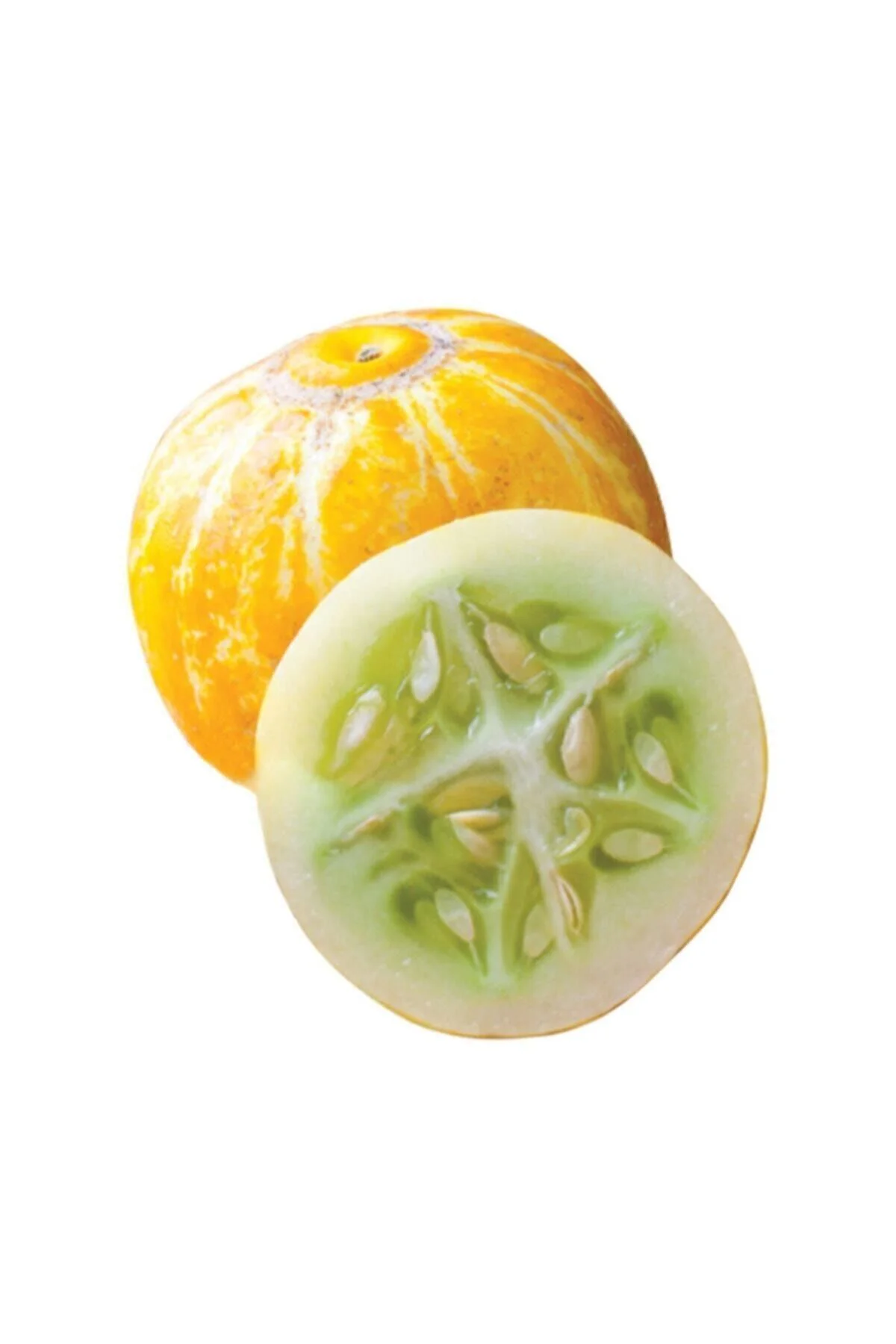 Nadir İthal Limon Salatalık Tohumu 5 Adet Tohum Sarı Salatalık Lemon Cucumber Fiyatı, Yorumları ve Özellikleri