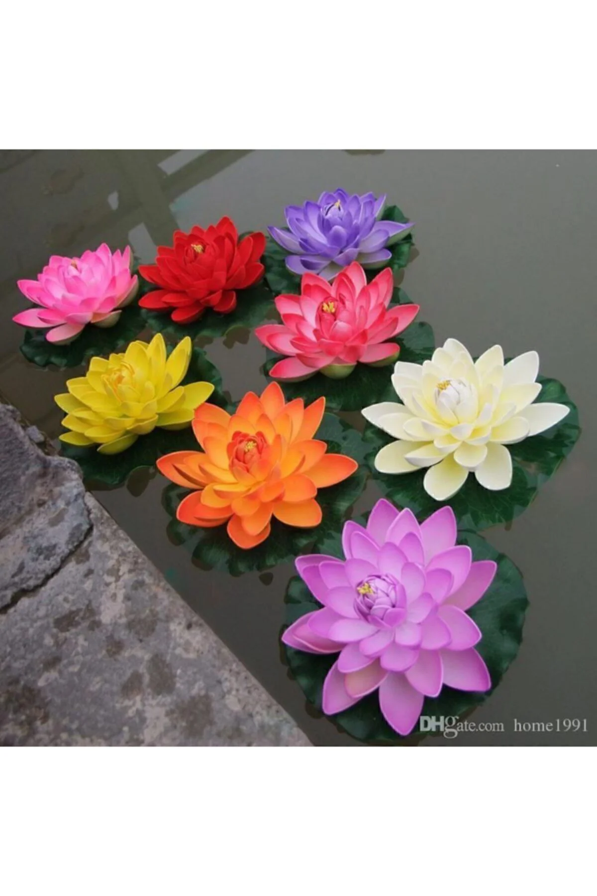 Nadir Ithal Lotus Tohumu 20 Tohum Lotus Çiçeği Tohumu Nilüfer Tohumu Su Zambağı Tohumu Zambak Tohumu