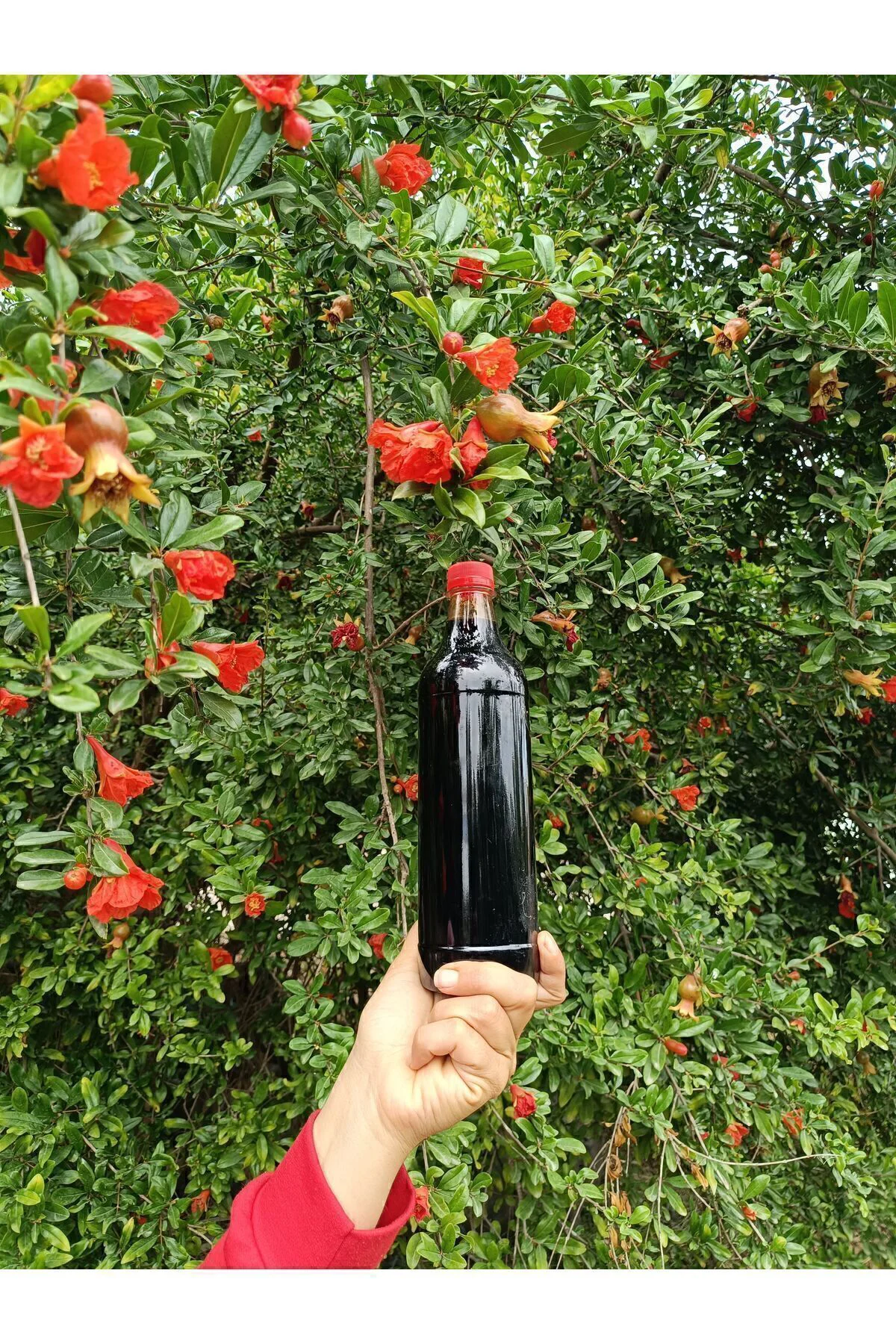Nar ekşisi 1 litre