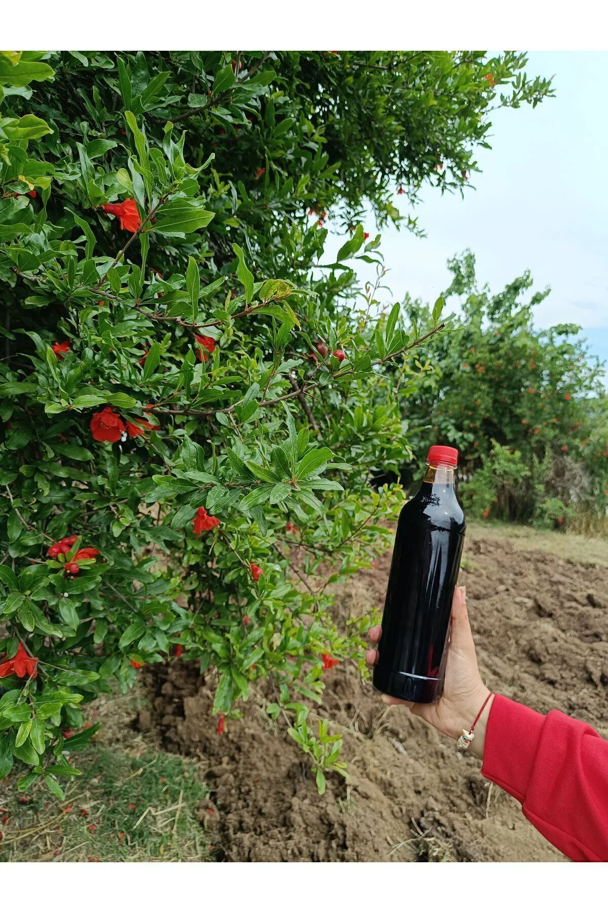 Nar ekşisi 1 litre