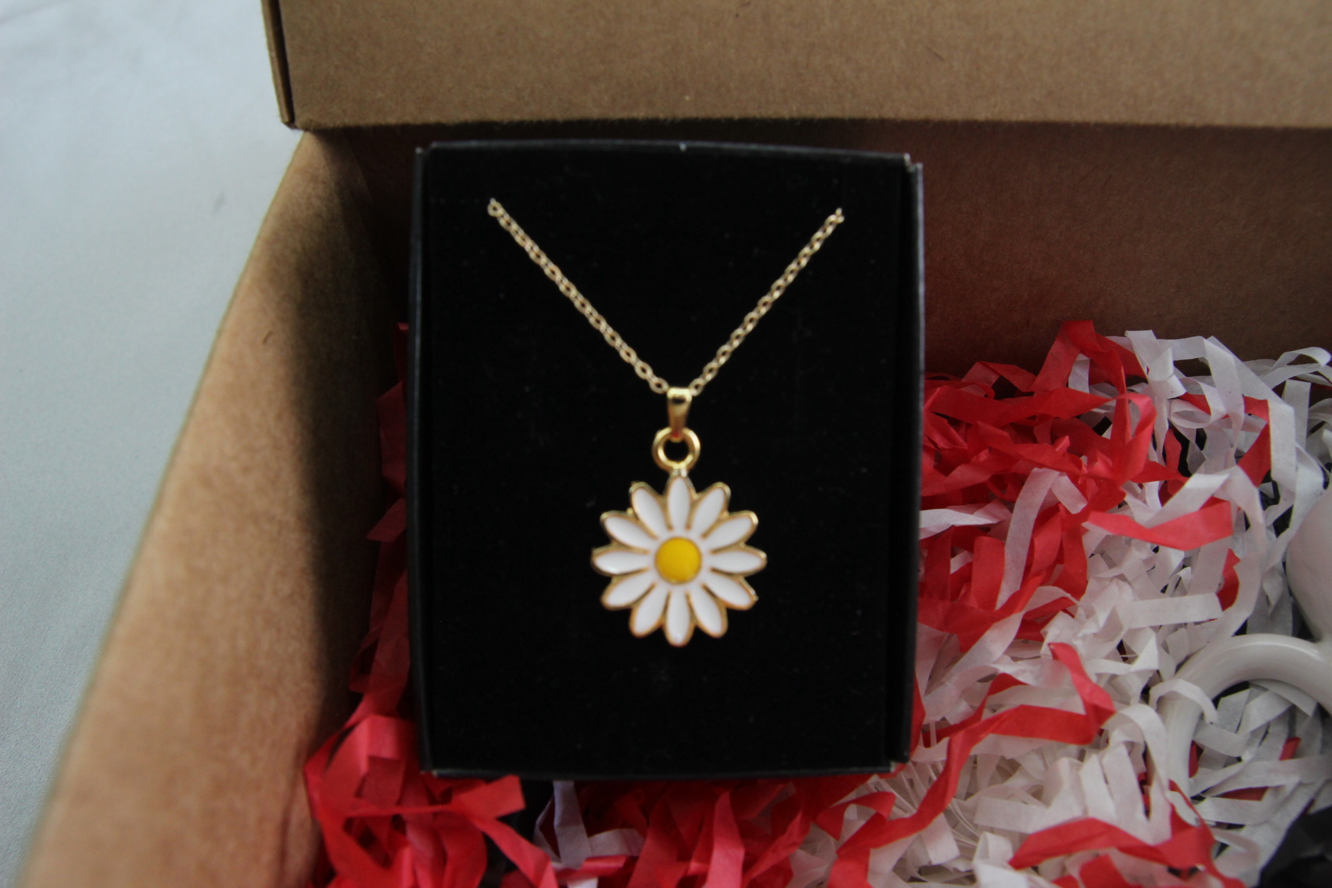 Home Nasa Temalı Kupa Bardak Ve Papatya Kolye Hediye Kutusu