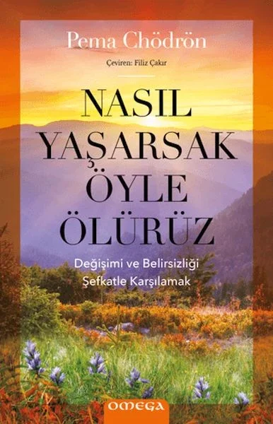 Nasıl Yaşarsak Öyle Ölürüz Fiyatı, Yorumları ve Özellikleri