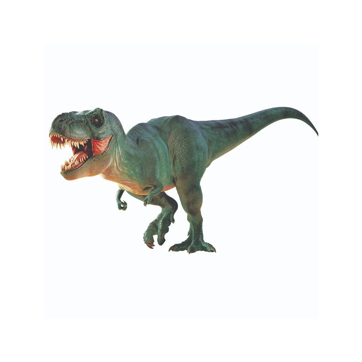 NAT06002 Dino Kazı Kiti - RTNGDINO2 +8 yaş NAT06002 Dino Kazı Kiti - RTNGDINO2 +8 yaş