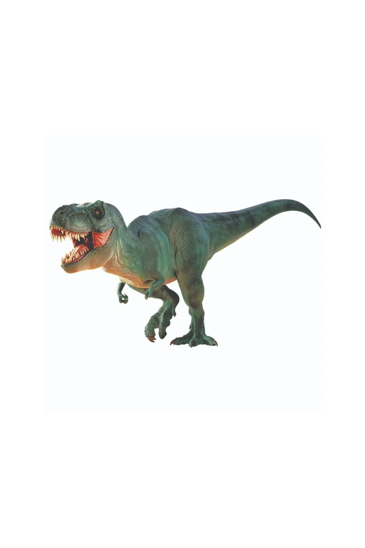 NAT06002Dino Kazı Kiti - RTNGDINO2 +8 yaş
