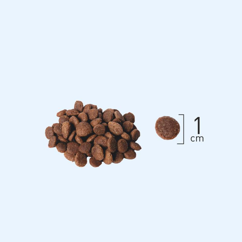 Natura Tavuklu Hindili ve Yaban Mersinli Kısırlaştırılmış Kedi Ma