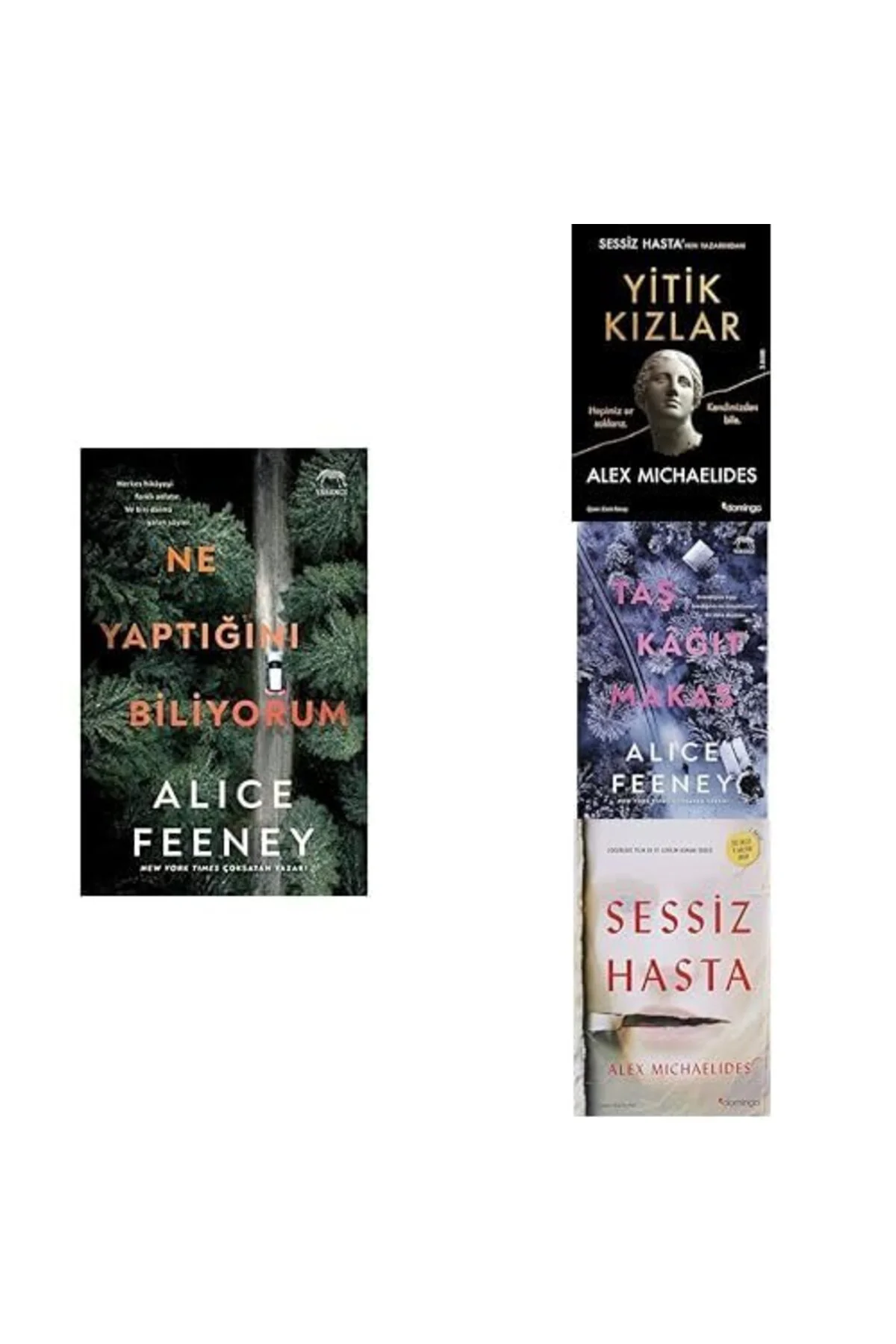 ne yaptigini biliyorum+ yitik kizlar+ tas kagit makas+ sessiz hasta=(4kitap)