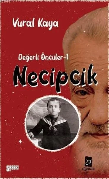 Necipcik Fiyatı, Yorumları ve Özellikleri