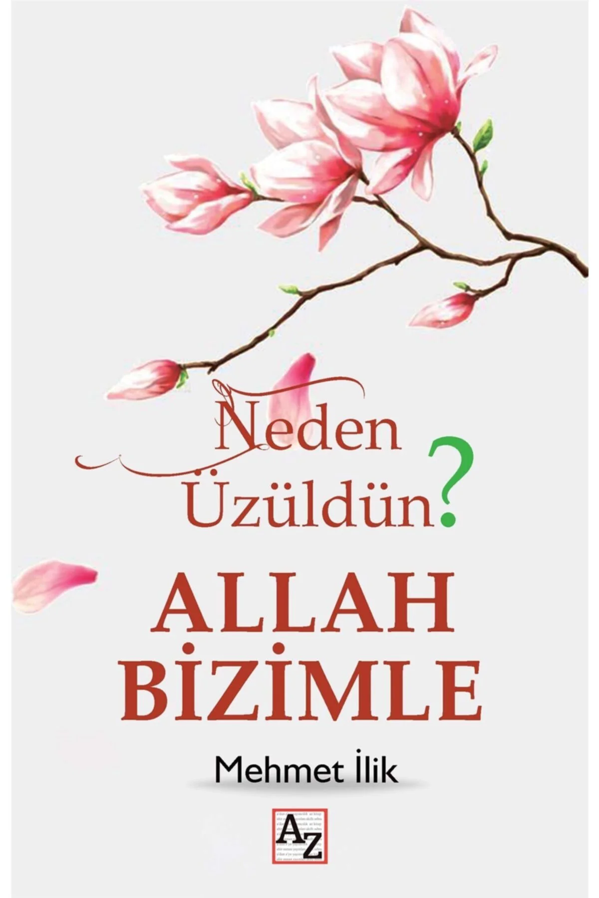 Neden Üzüldün? Allah Bizimle - Mehmet Ilik