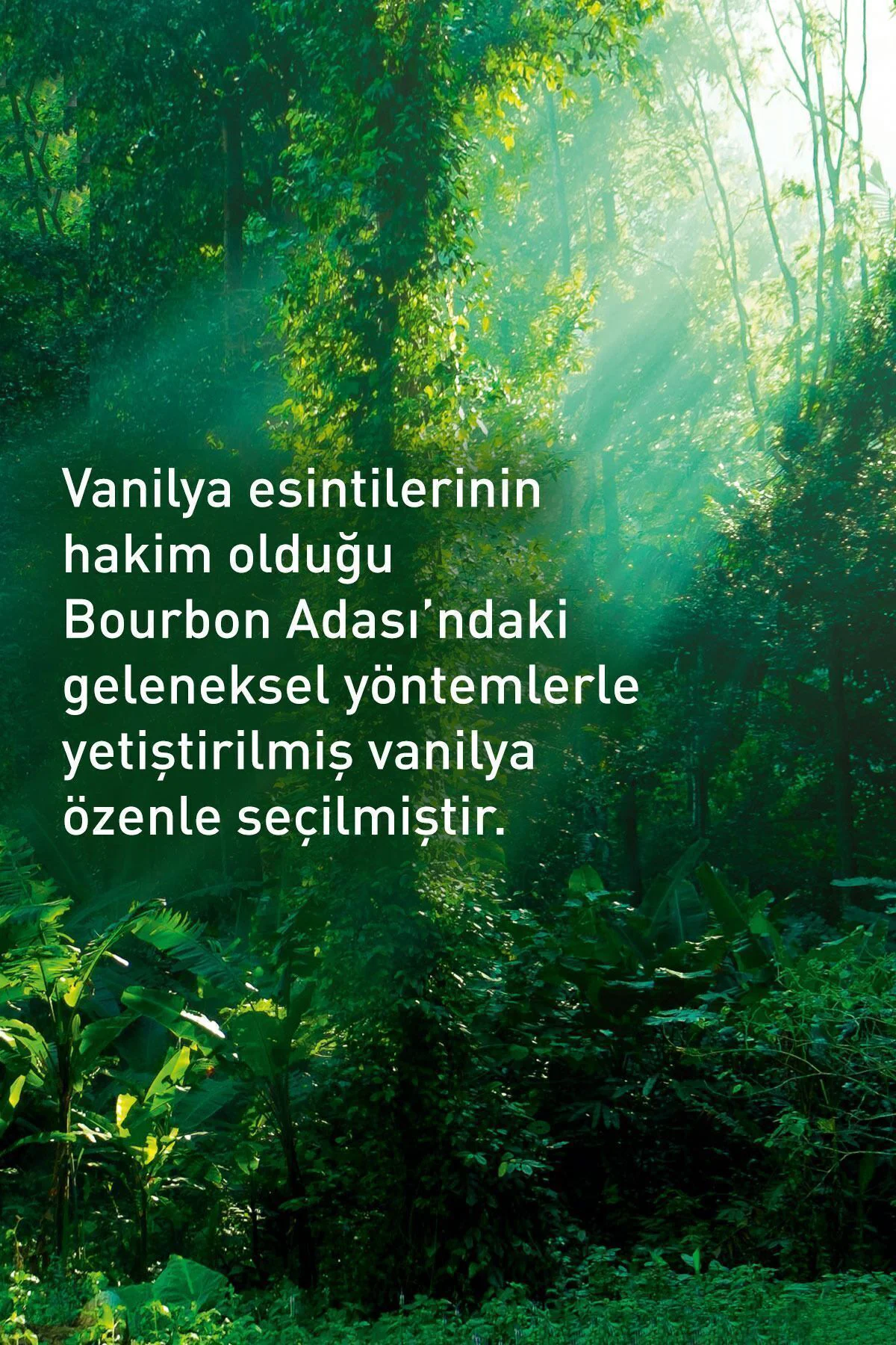 Nemlendirici Duş Jeli - Egzotik Vanilya - 200ml-13444