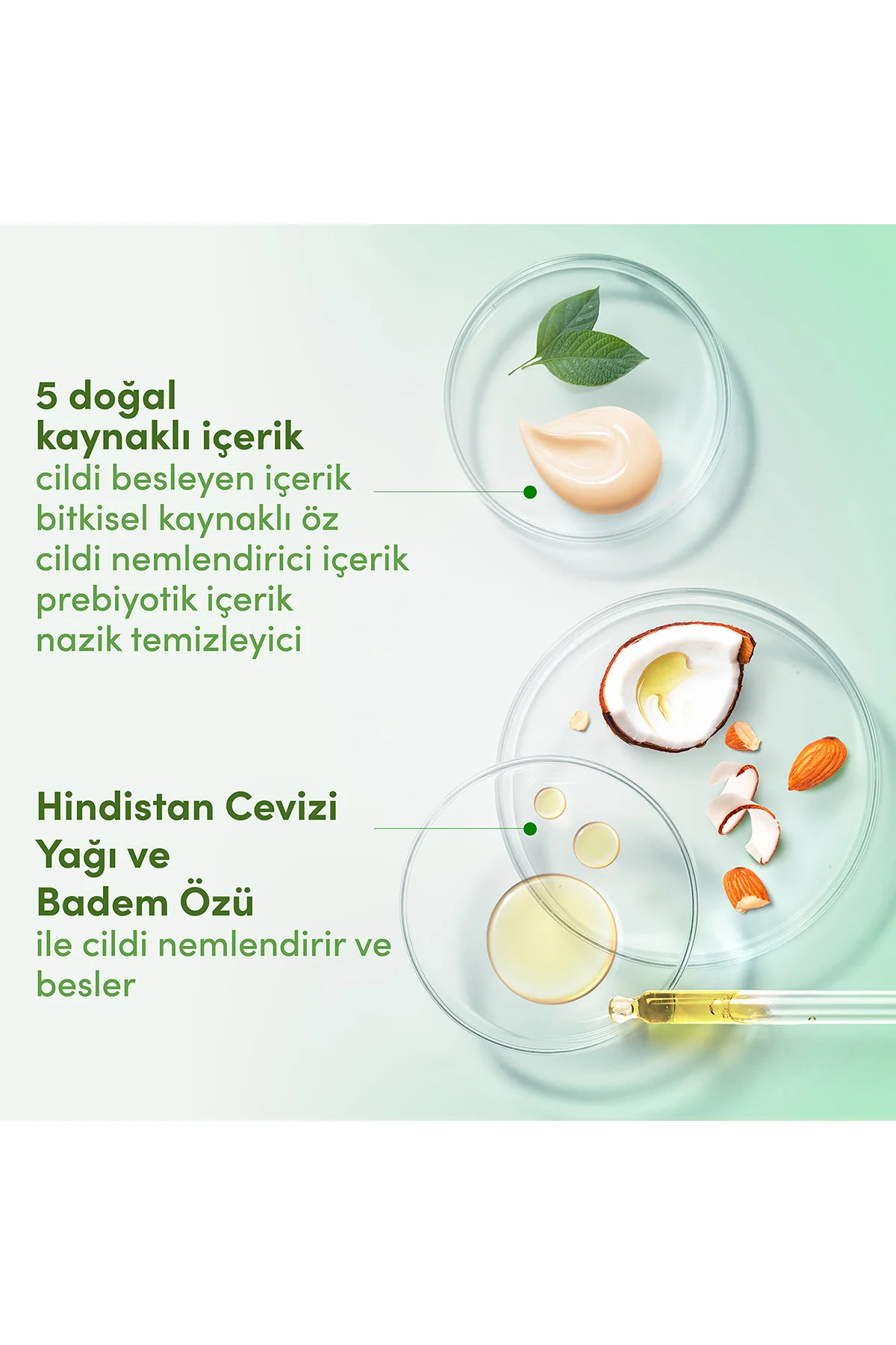 Nemlendirici Duş Jeli Hindistan Cevizi Yağı Ve Badem Özü 450 ml