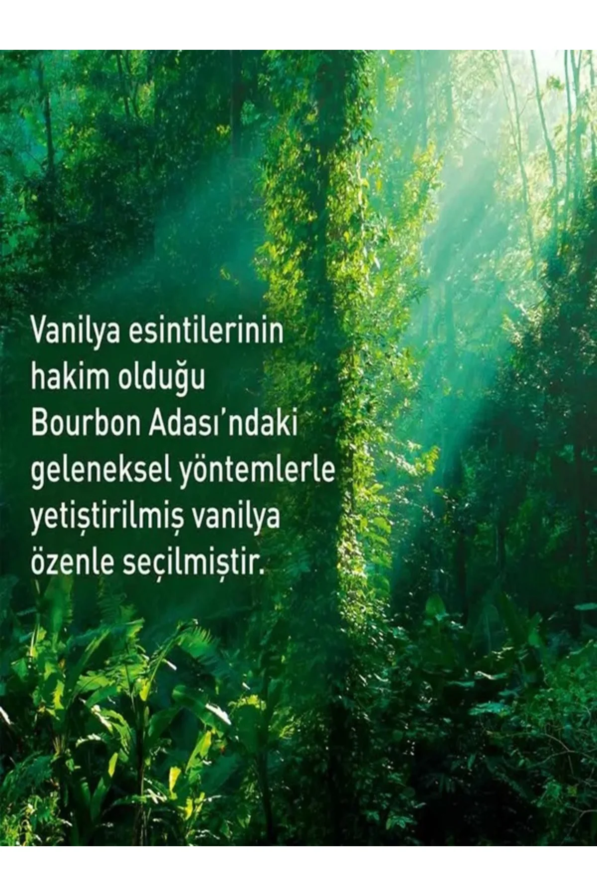 Nemlendirici Vücut Losyonu - Egzotik Vanilya - 390ml Karite/Shea 