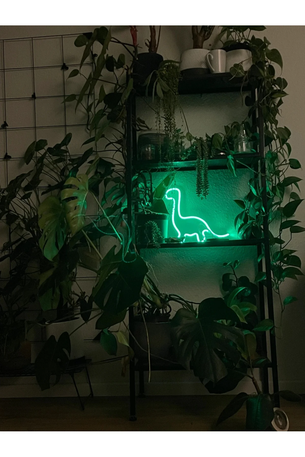 NEON DİNAZOR