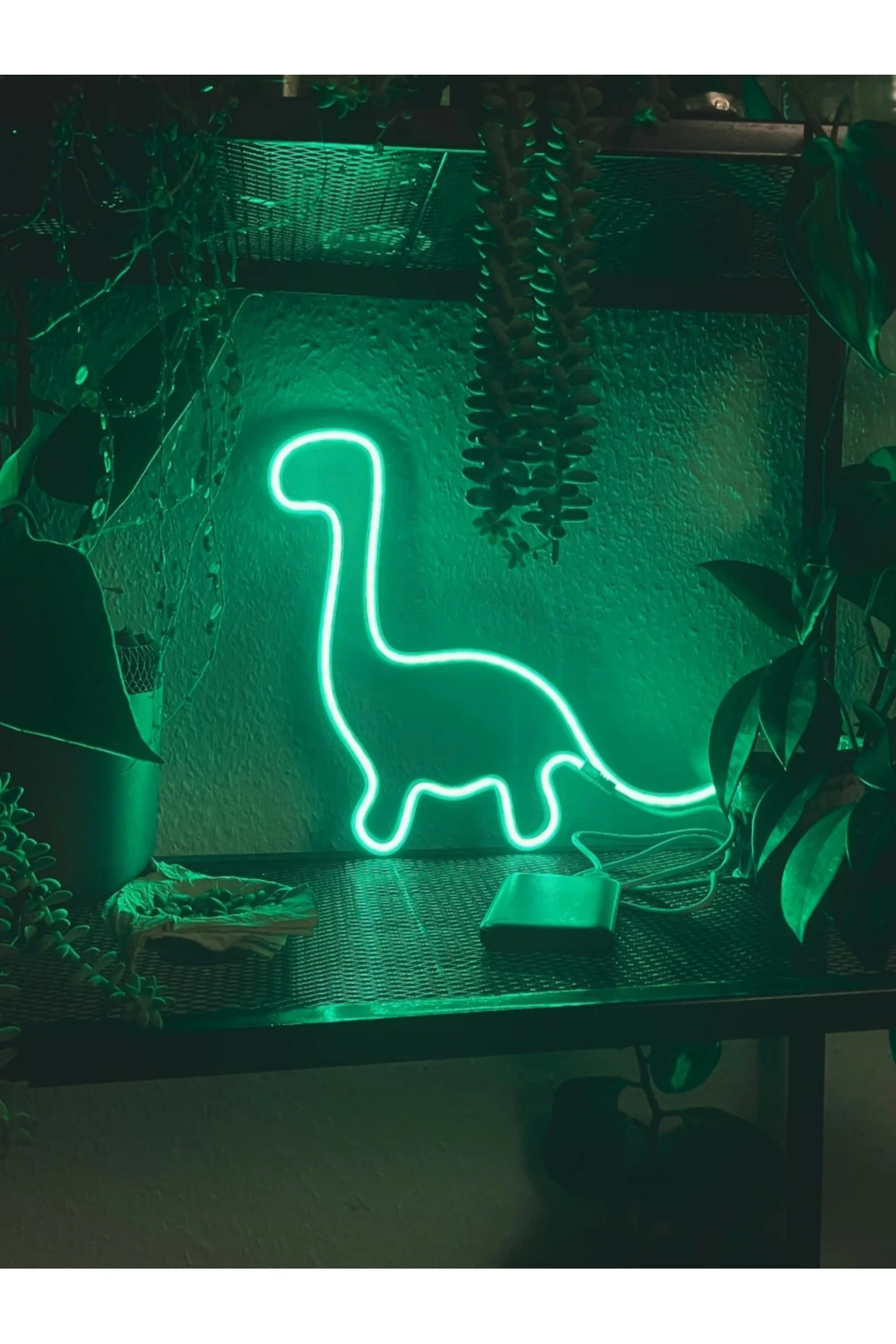 NEON DİNAZOR