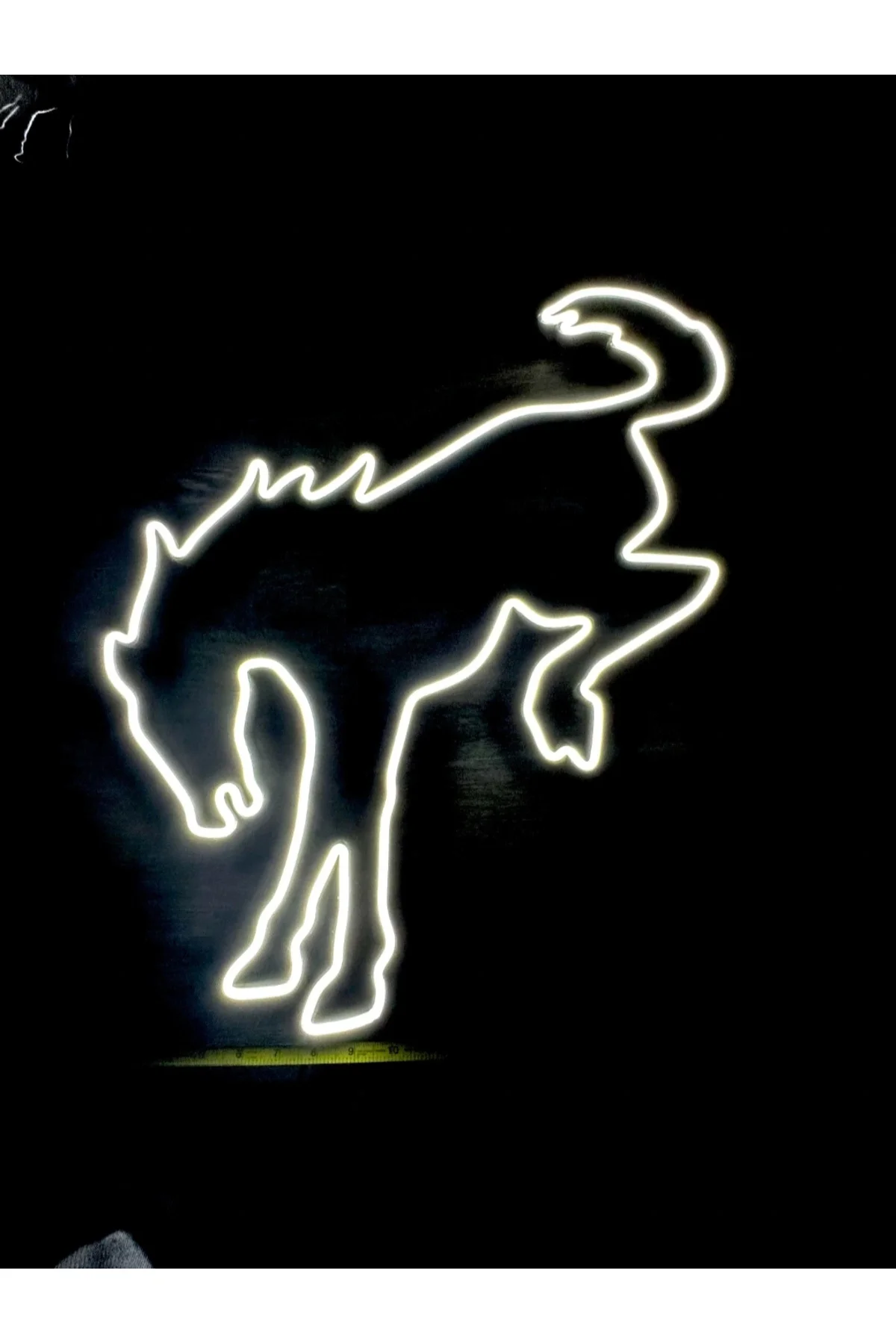 NEON IŞIKLI AT