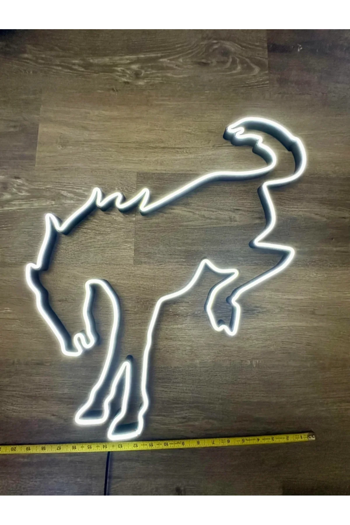 NEON IŞIKLI AT