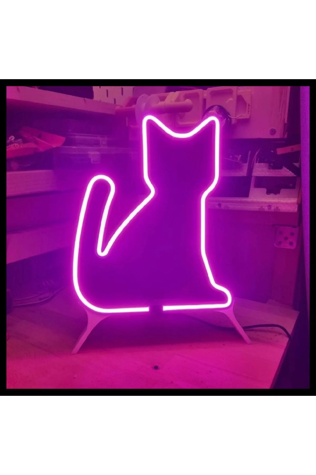 NEON IŞIKLI KEDİ