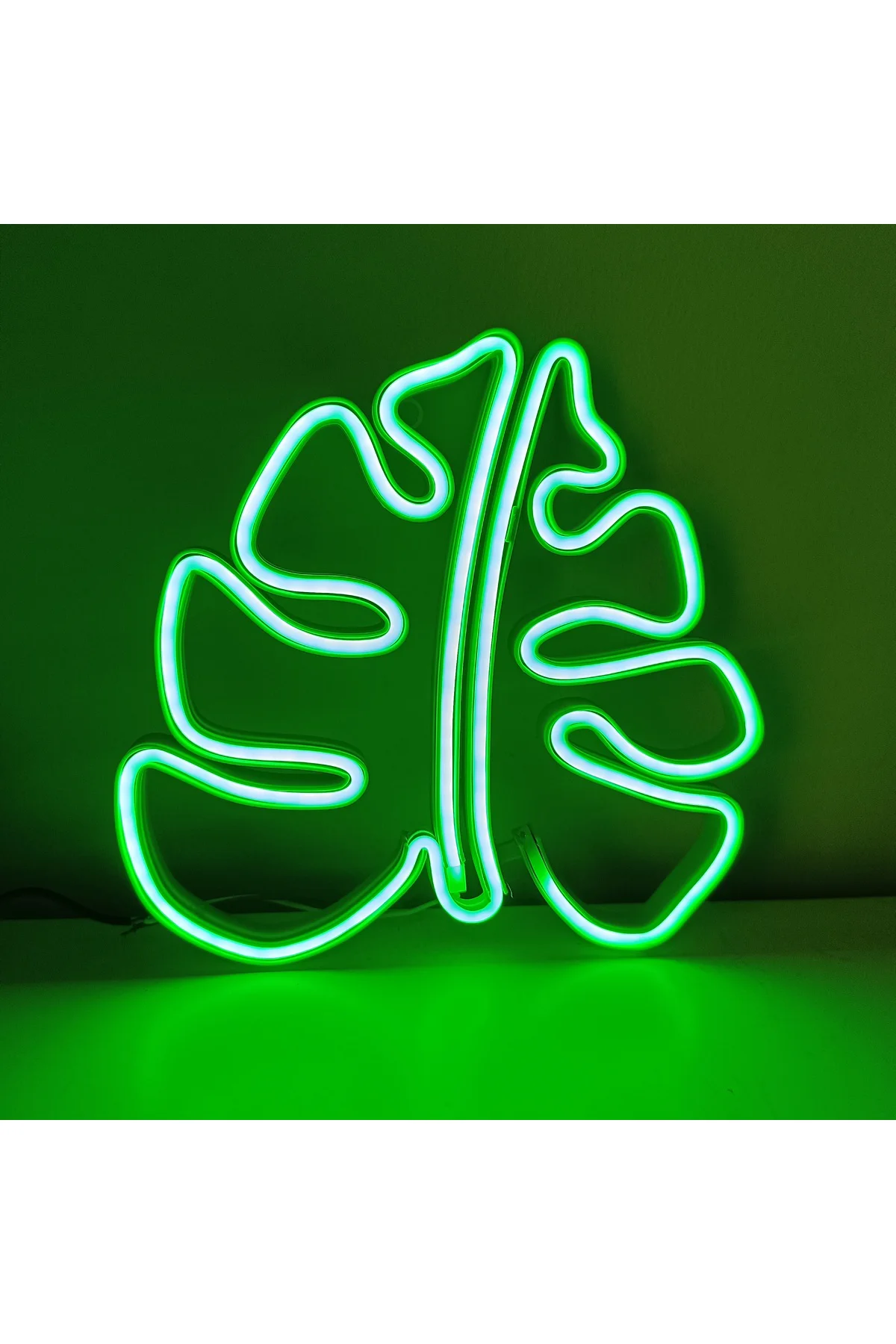 NEON IŞIKLI YAPRAK