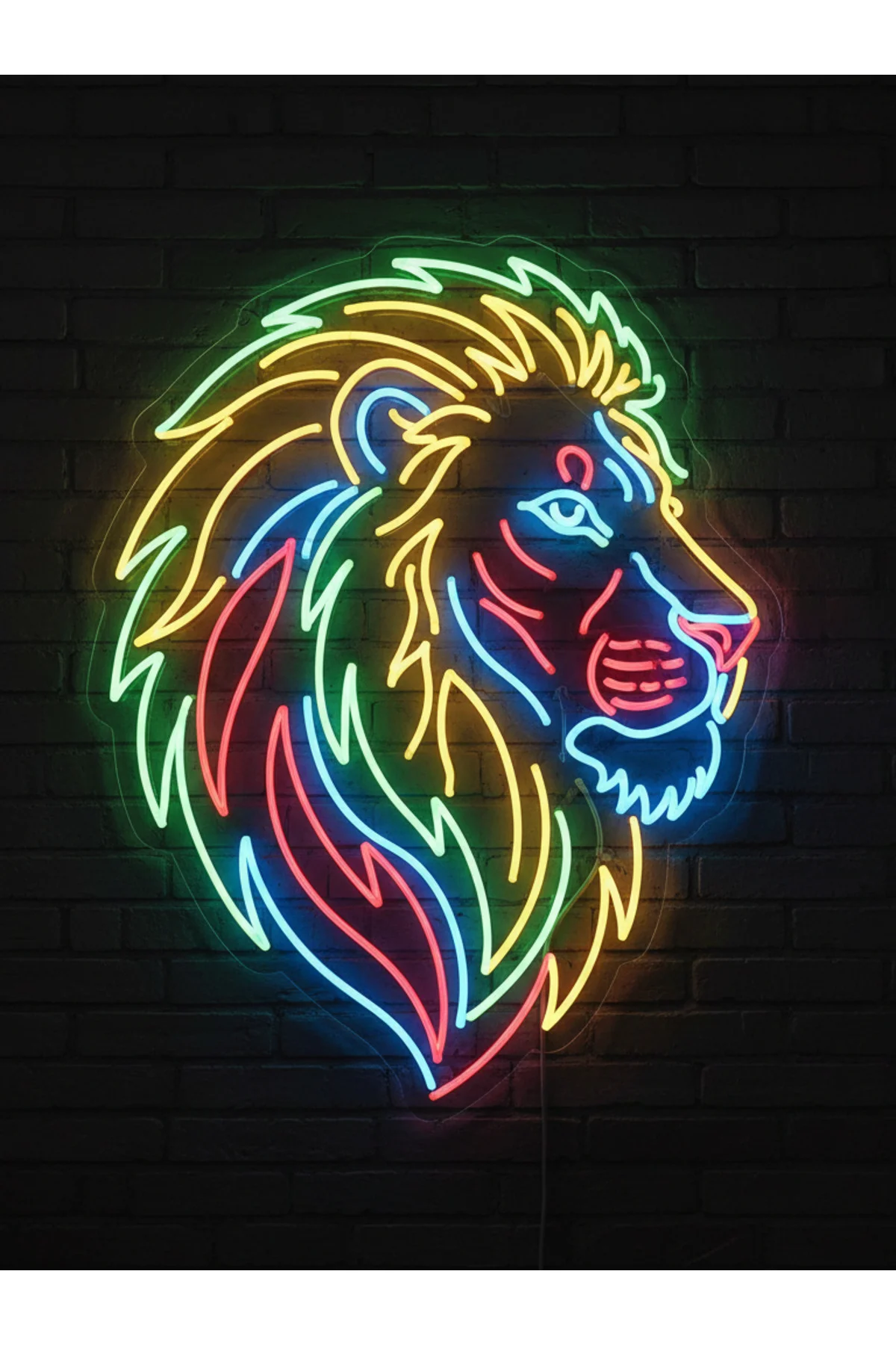 NEON LED IŞIKLI ARSLAN LİON