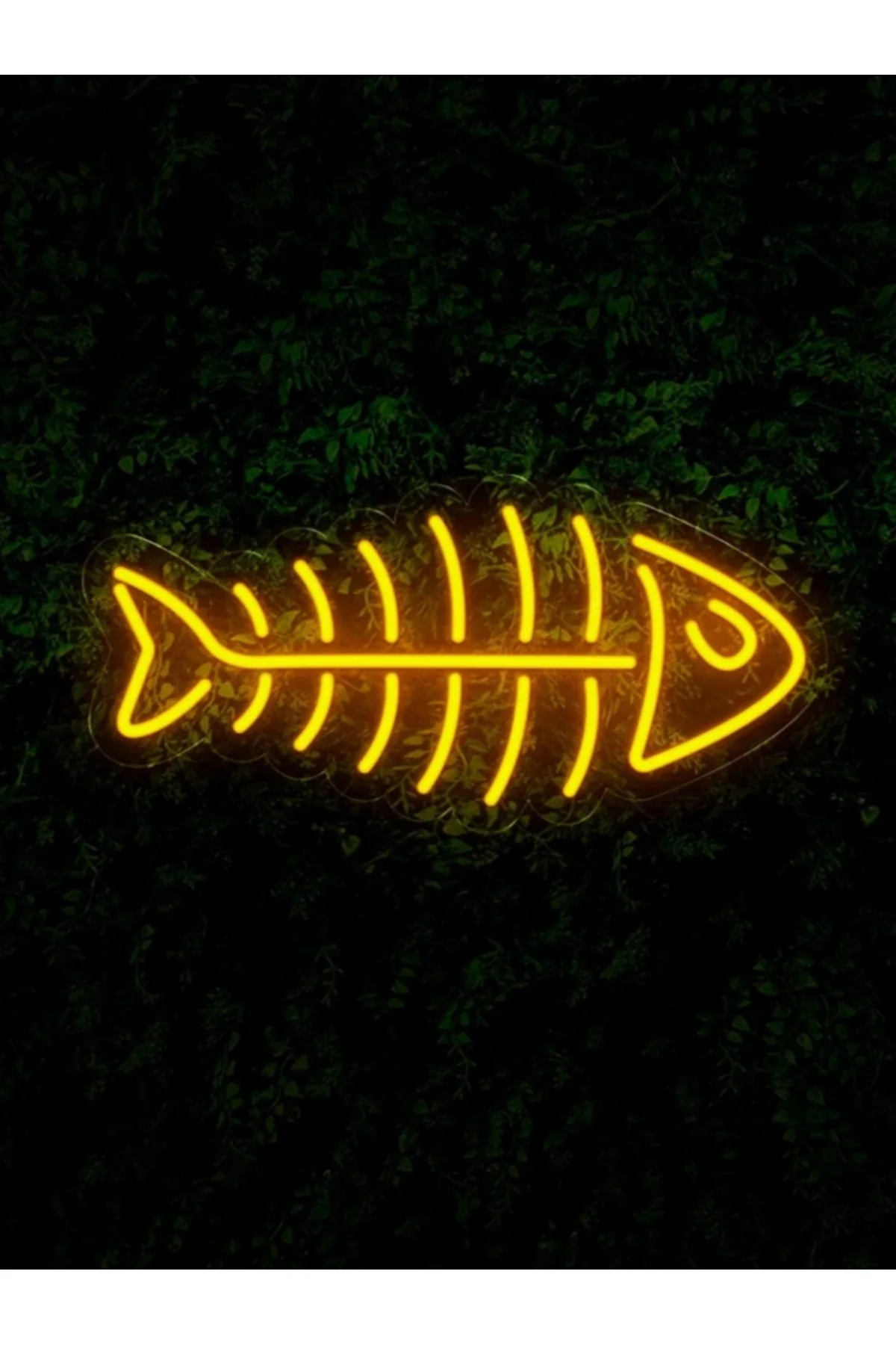 NEON LED IŞIKLI BALIK DUVAR TABLO