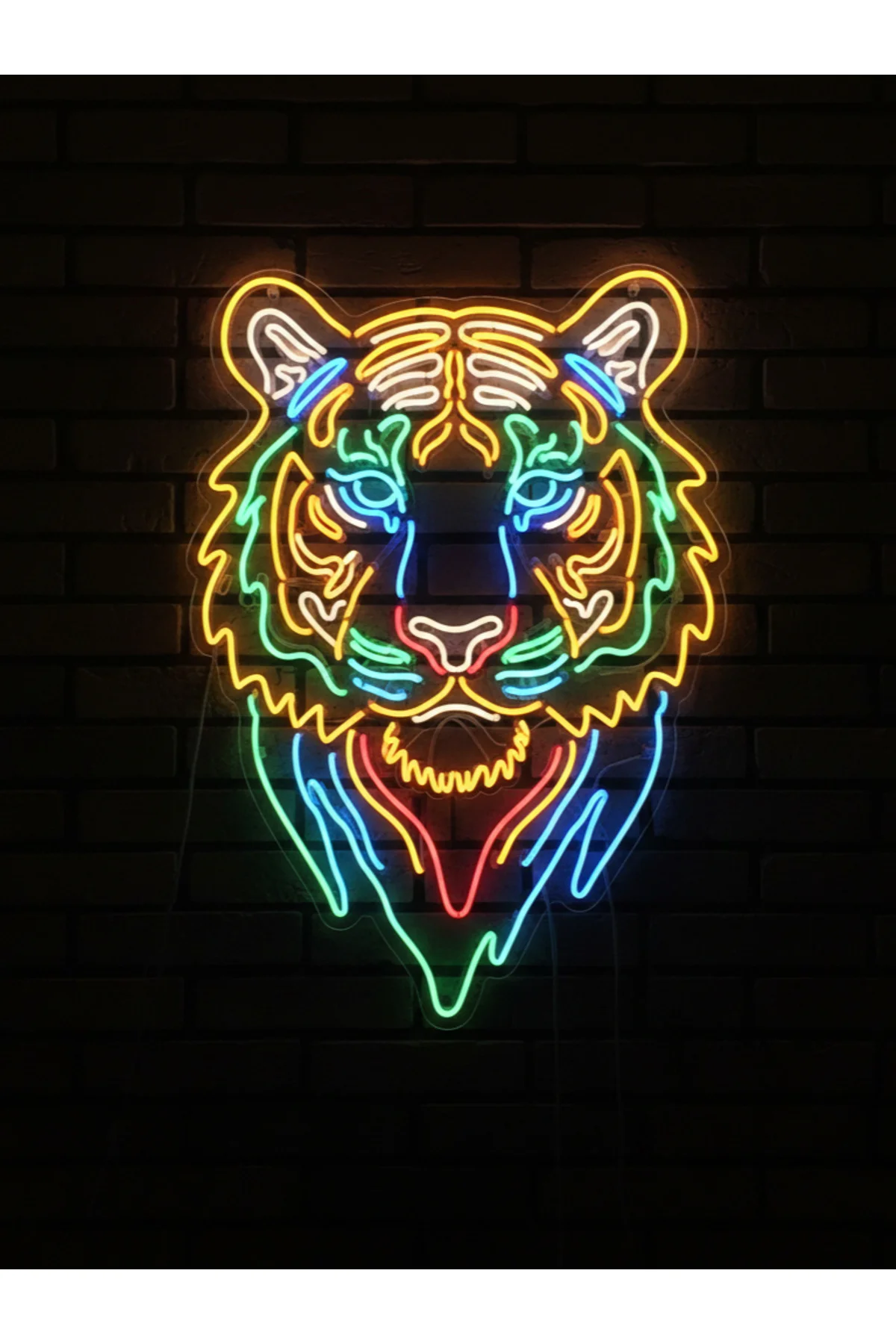 NEON LED IŞIKLI KAPLAN