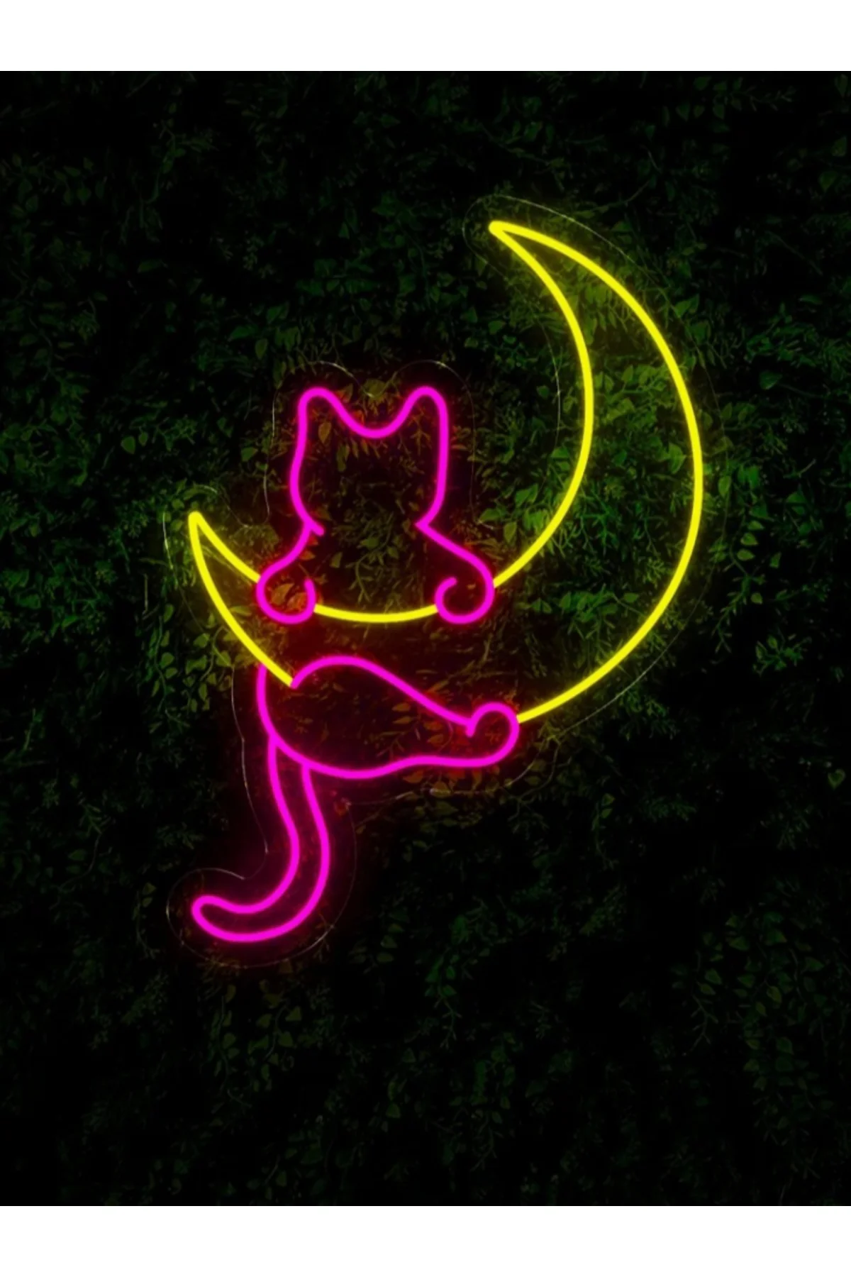 NEON LED IŞIKLI KEDİ AY 40x40