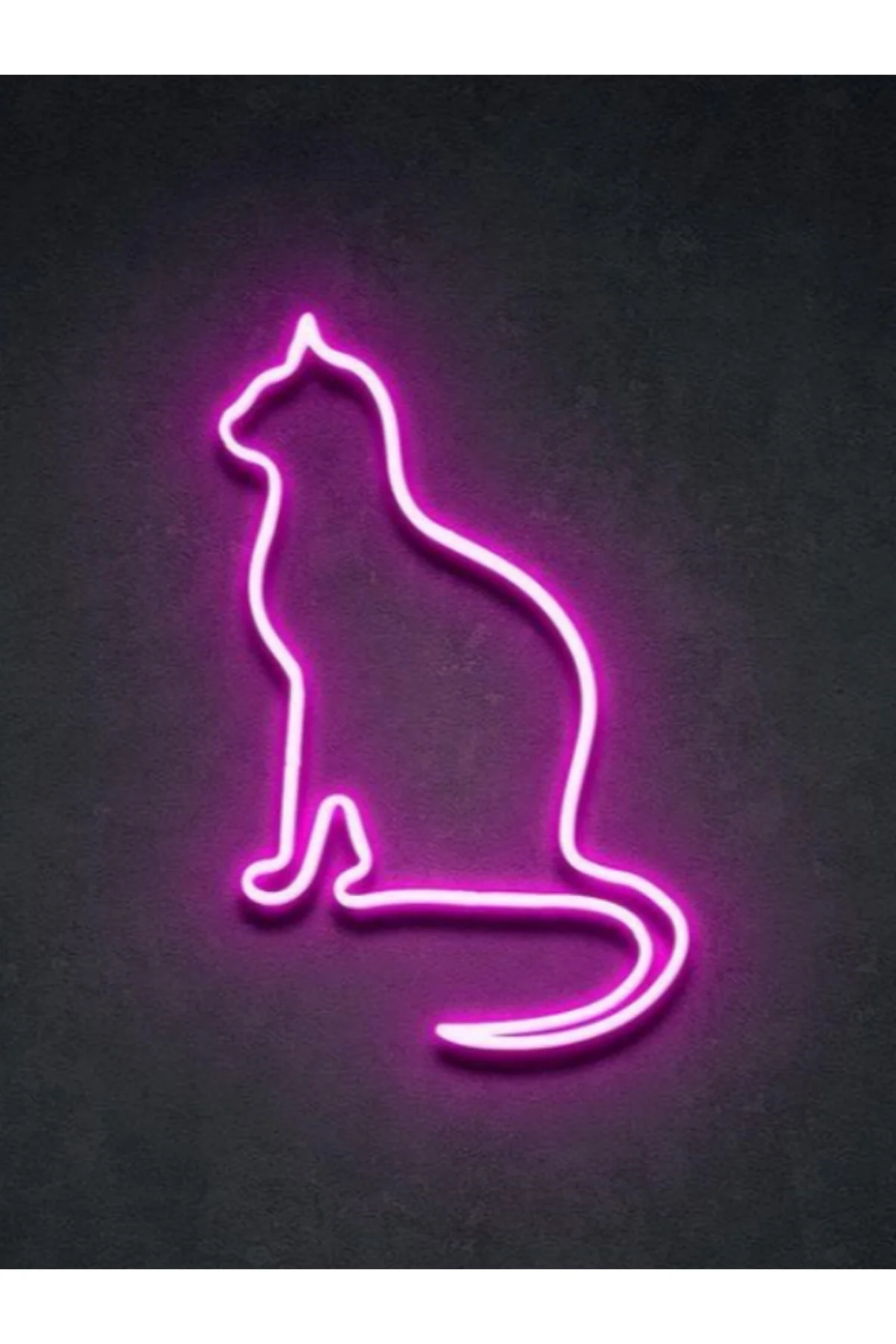 Neon Led Işıklı Kedi Duvar Dekorasyon Tablosu