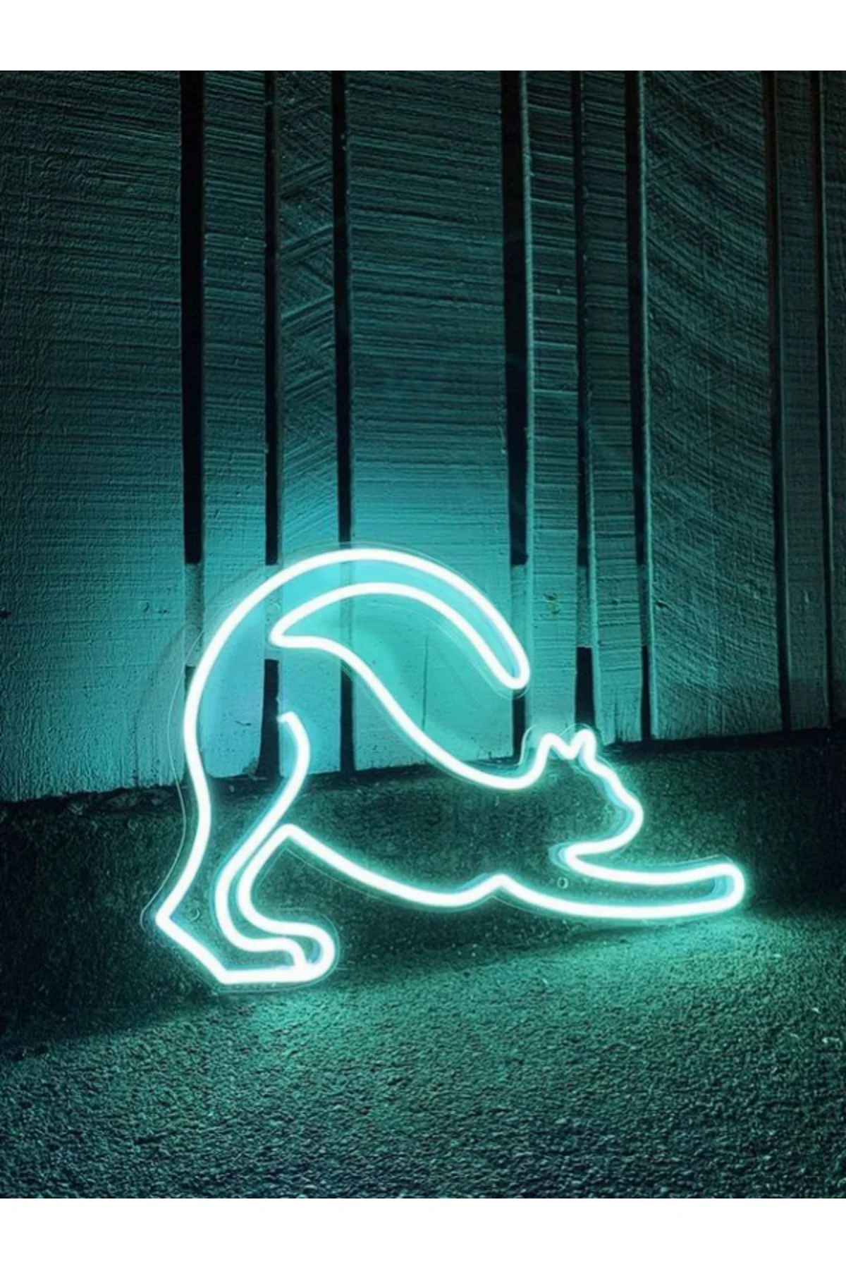 NEON LED IŞIKLI KEDİ