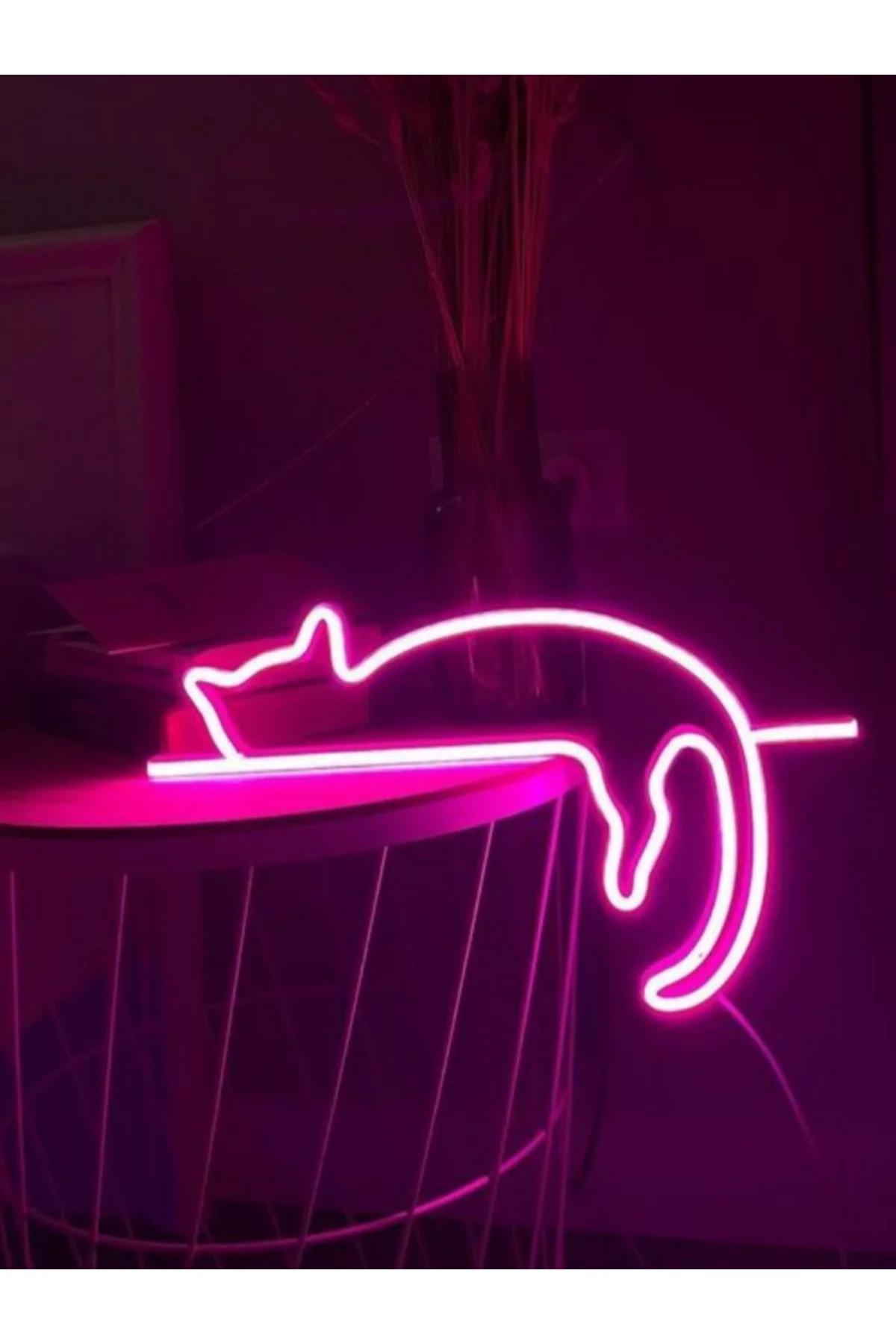 NEON LED IŞIKLI KEDİ