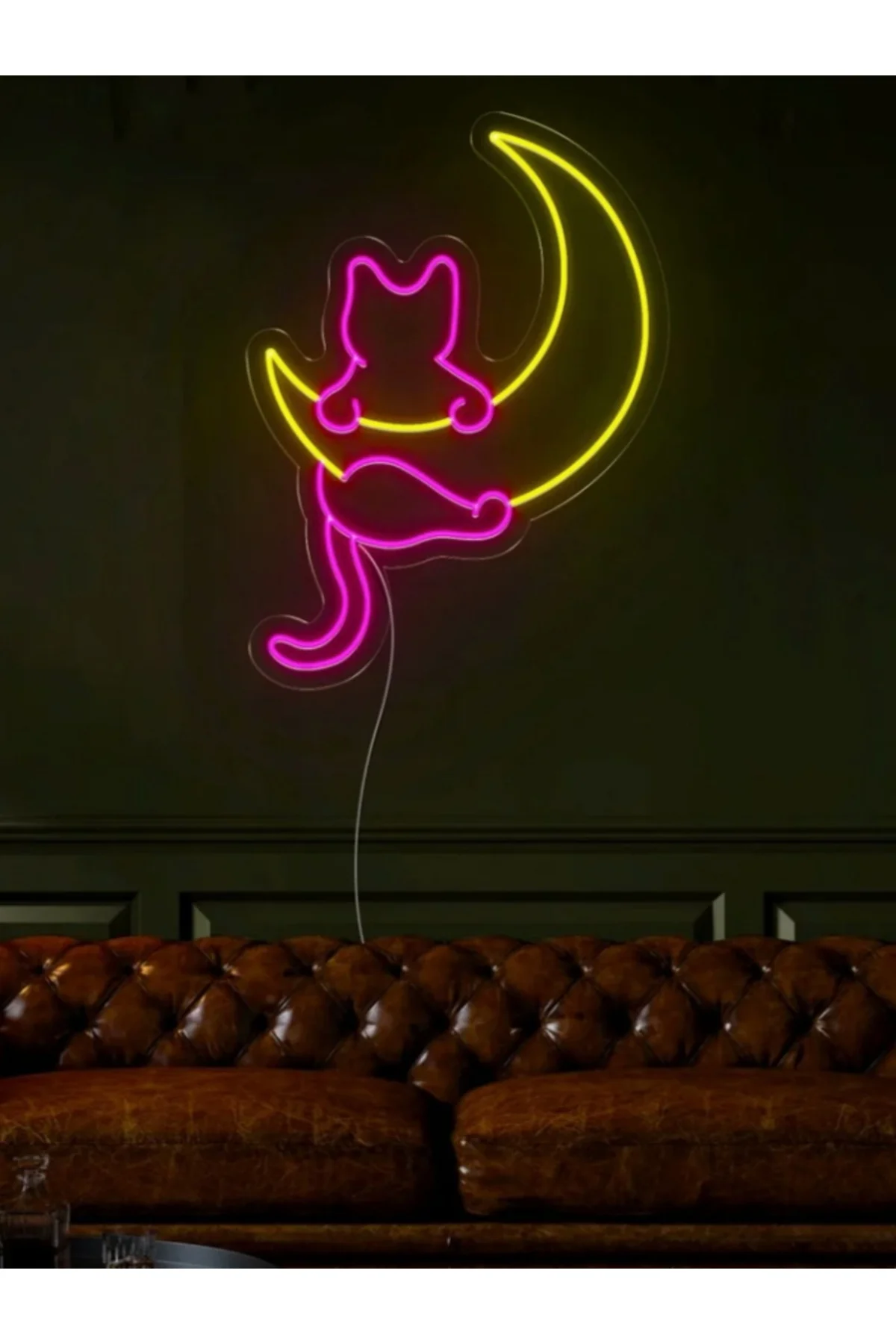 NEON LED IŞIKLI KEDİ AY 40x40