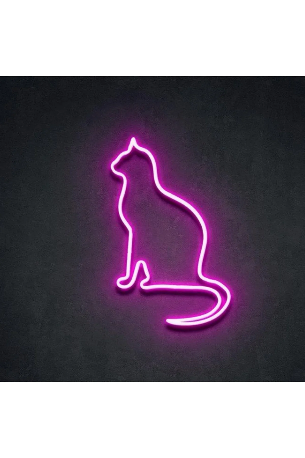 Neon Led Işıklı Kedi Duvar Dekorasyon Tablosu