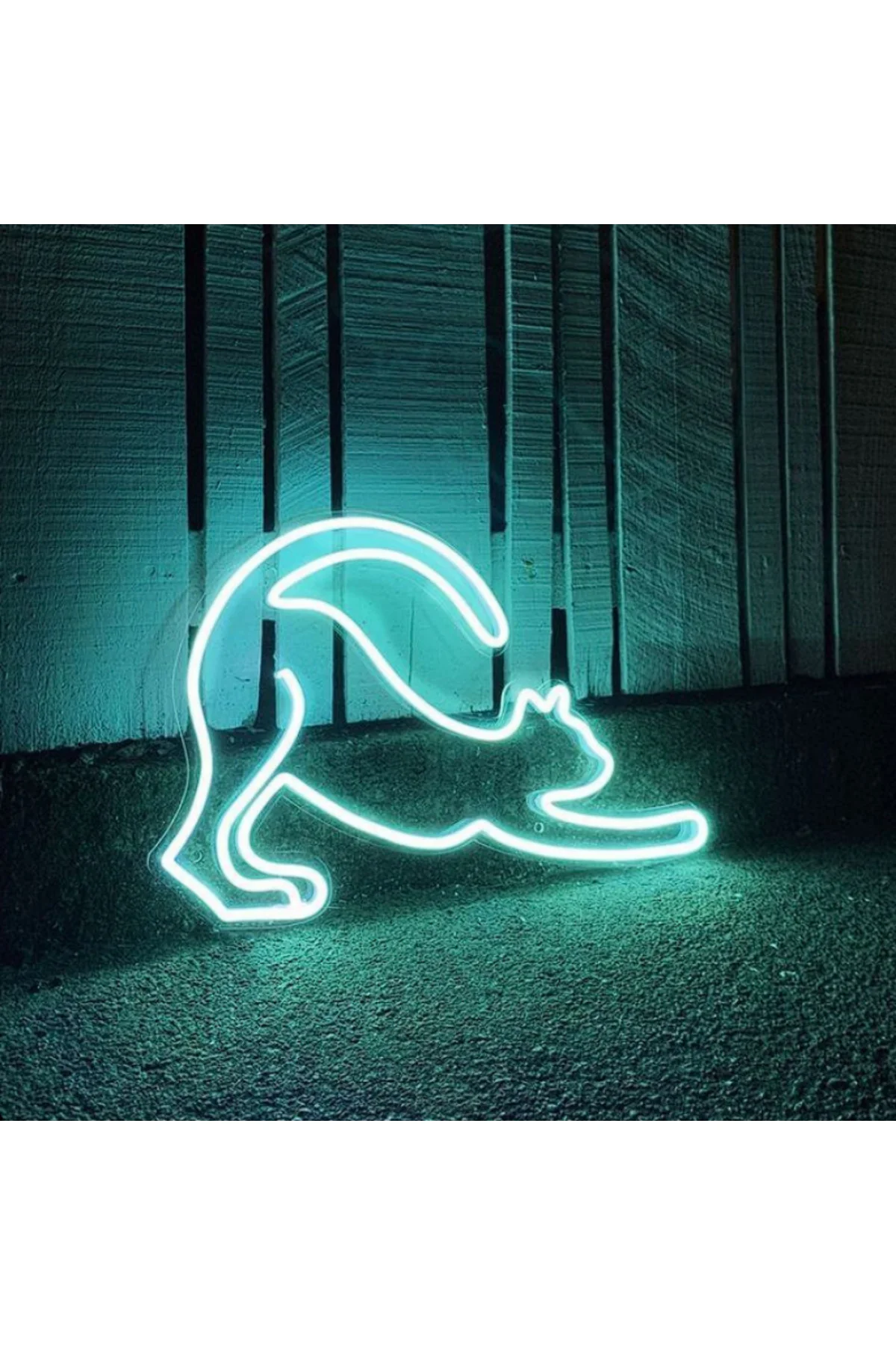 NEON LED IŞIKLI KEDİ